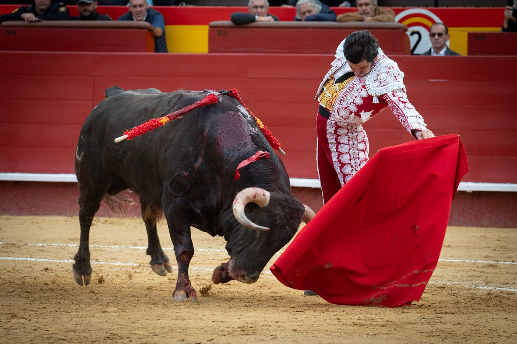 <p><span>Foto: Litugo / Natalia</span></p>