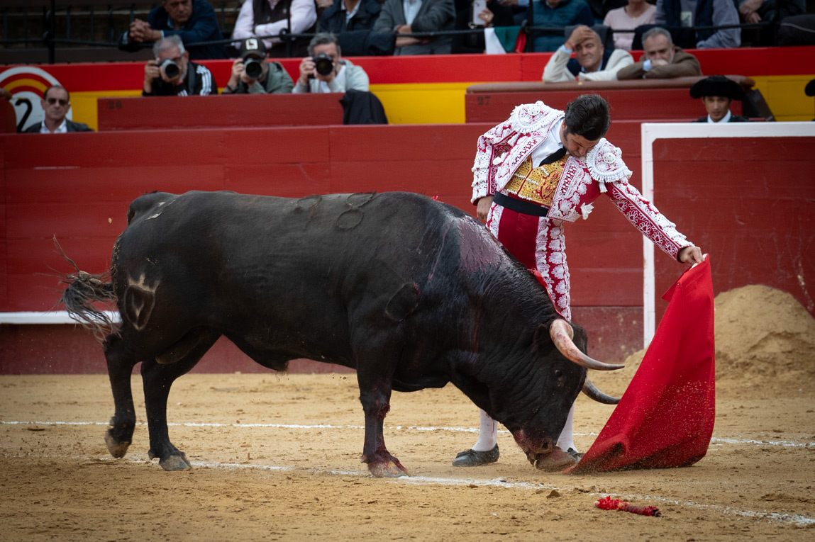 <p><span>Foto: Litugo / Natalia</span></p>