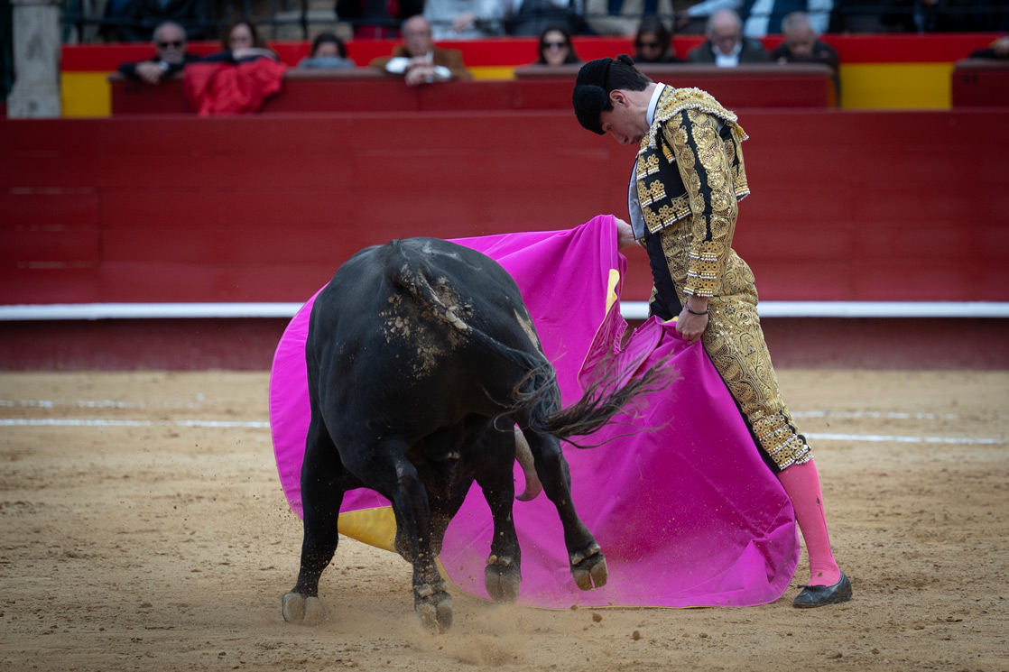 <p><span>Foto: Litugo / Natalia</span></p>