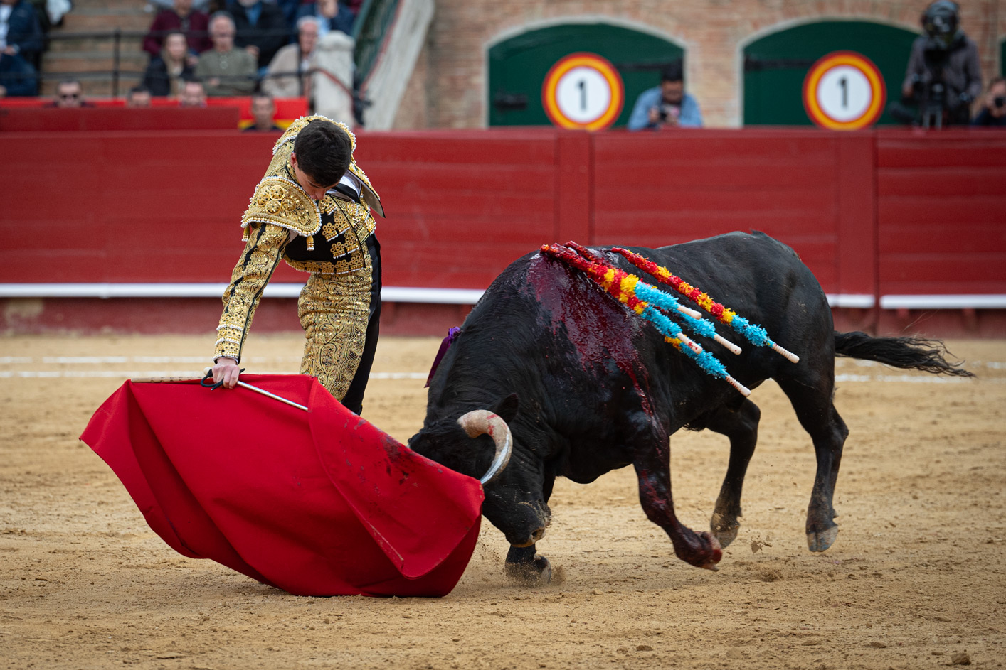 <p><span>Foto: Litugo / Natalia</span></p>