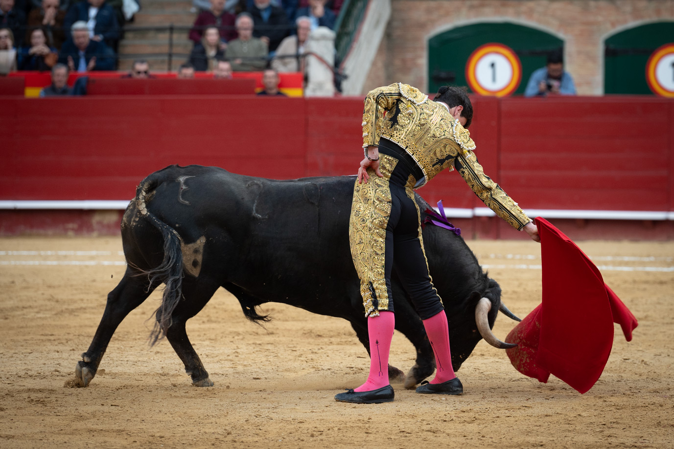<p><span>Foto: Litugo / Natalia</span></p>