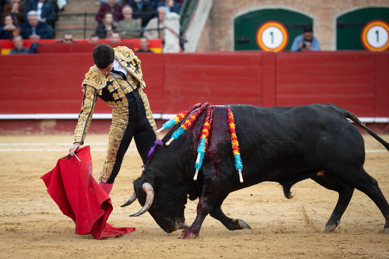 <p><span>Foto: Litugo / Natalia</span></p>