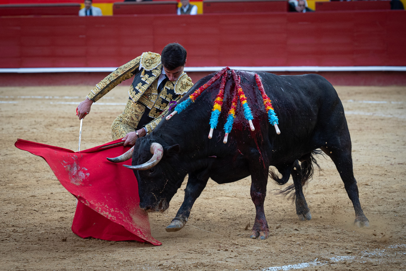 <p><span>Foto: Litugo / Natalia</span></p>