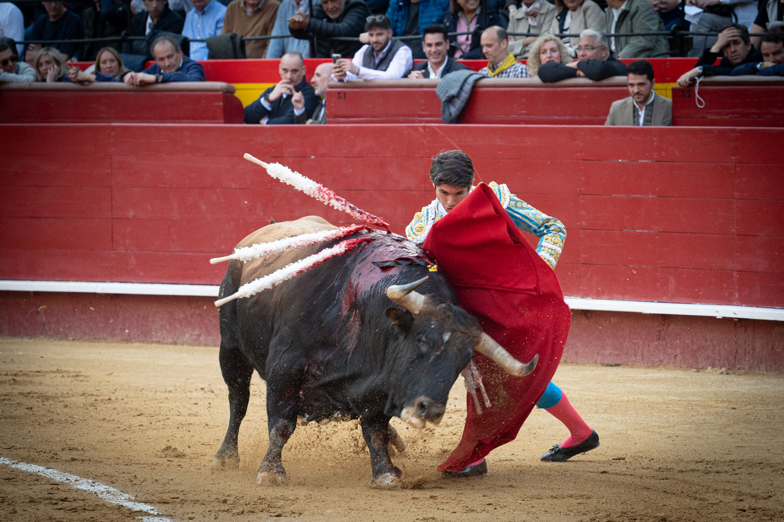 <p><span>Foto: Litugo / Nautalia</span></p>
