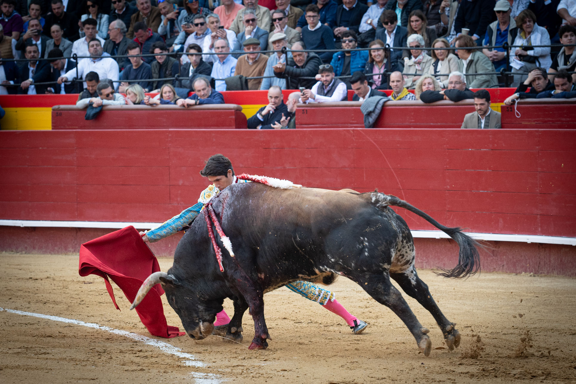 <p><span>Foto: Litugo / Nautalia</span></p>