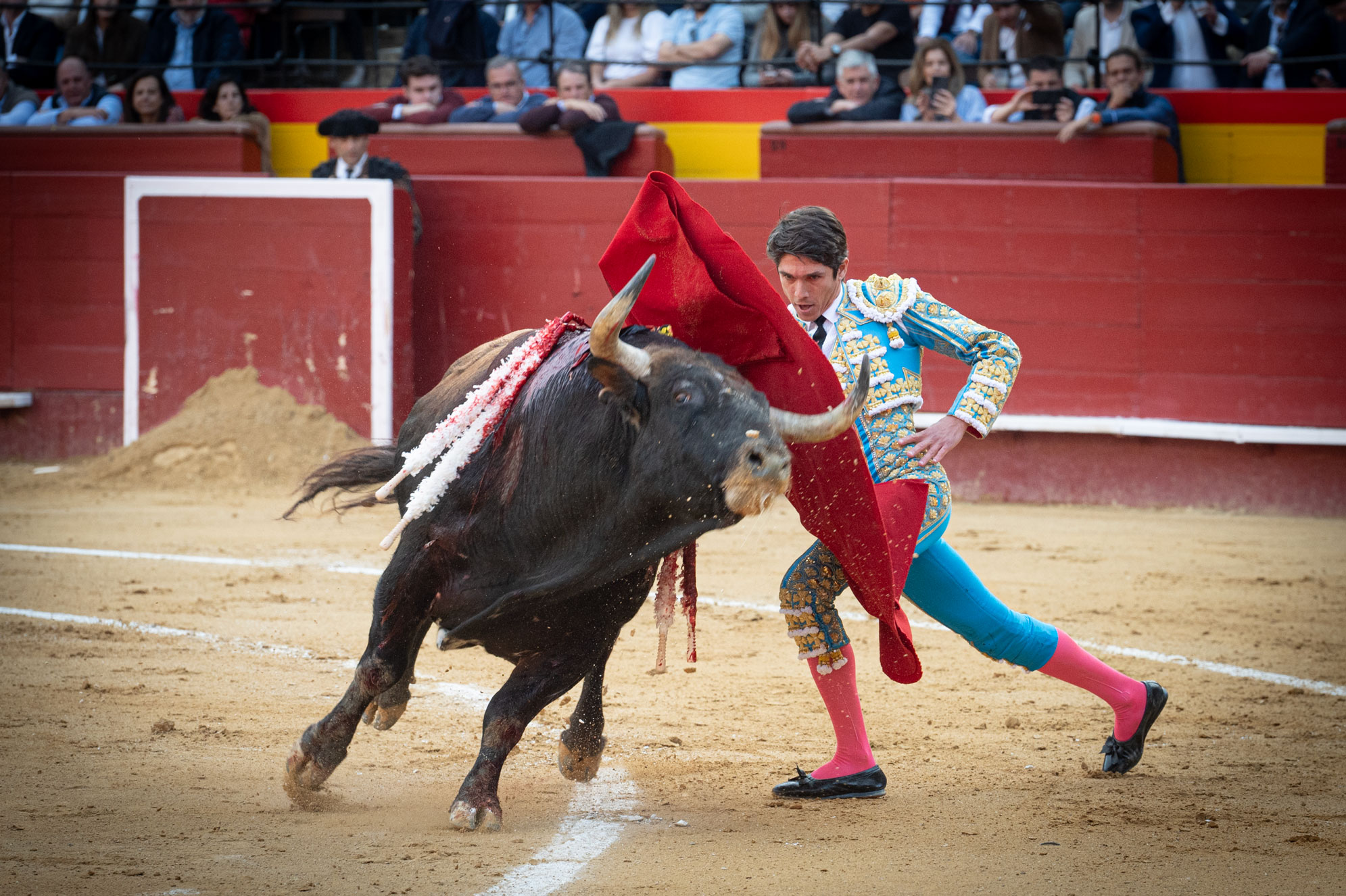 <p><span>Foto: Litugo / Nautalia</span></p>