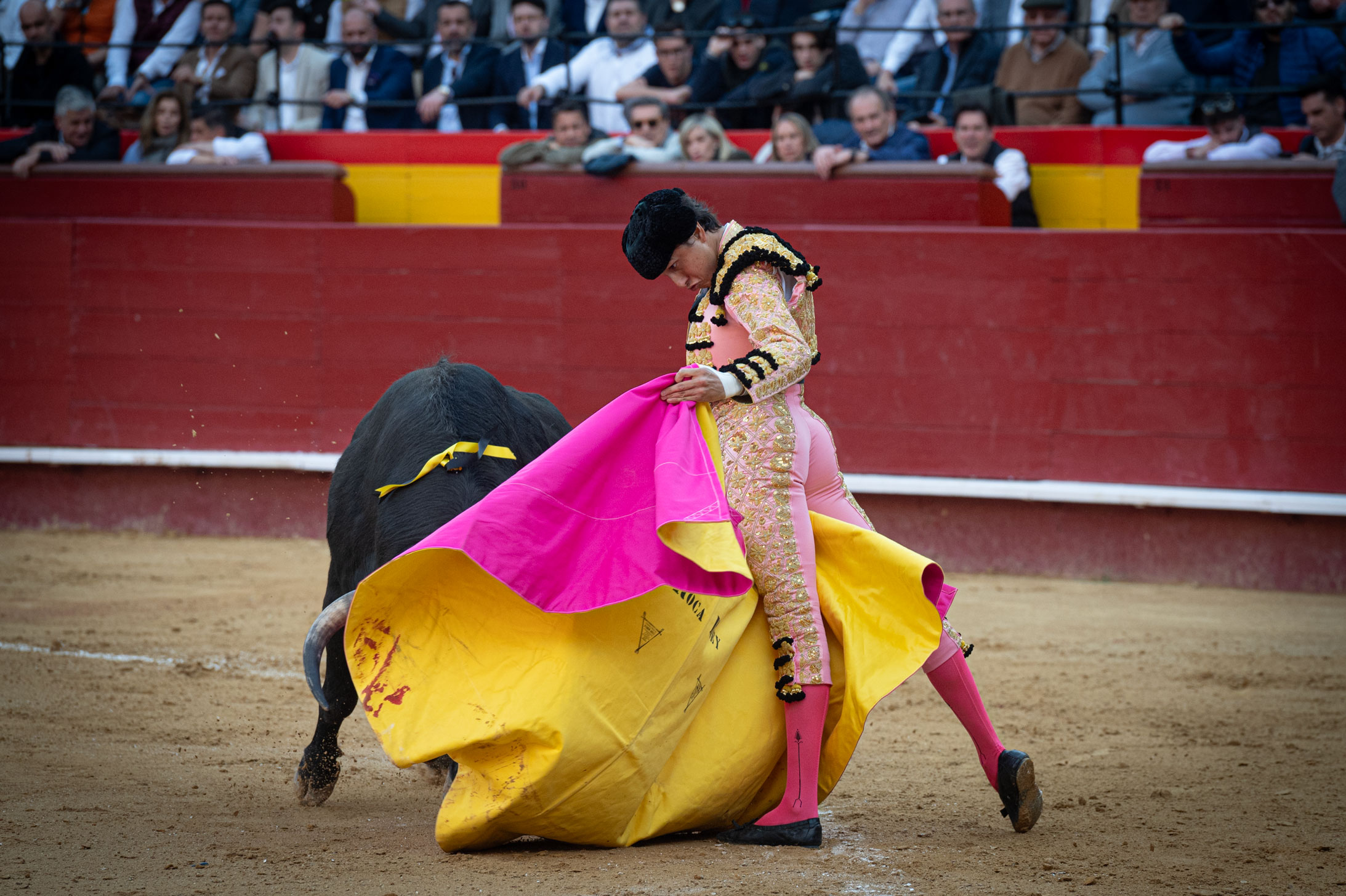 <p><span>Foto: Litugo / Nautalia</span></p>