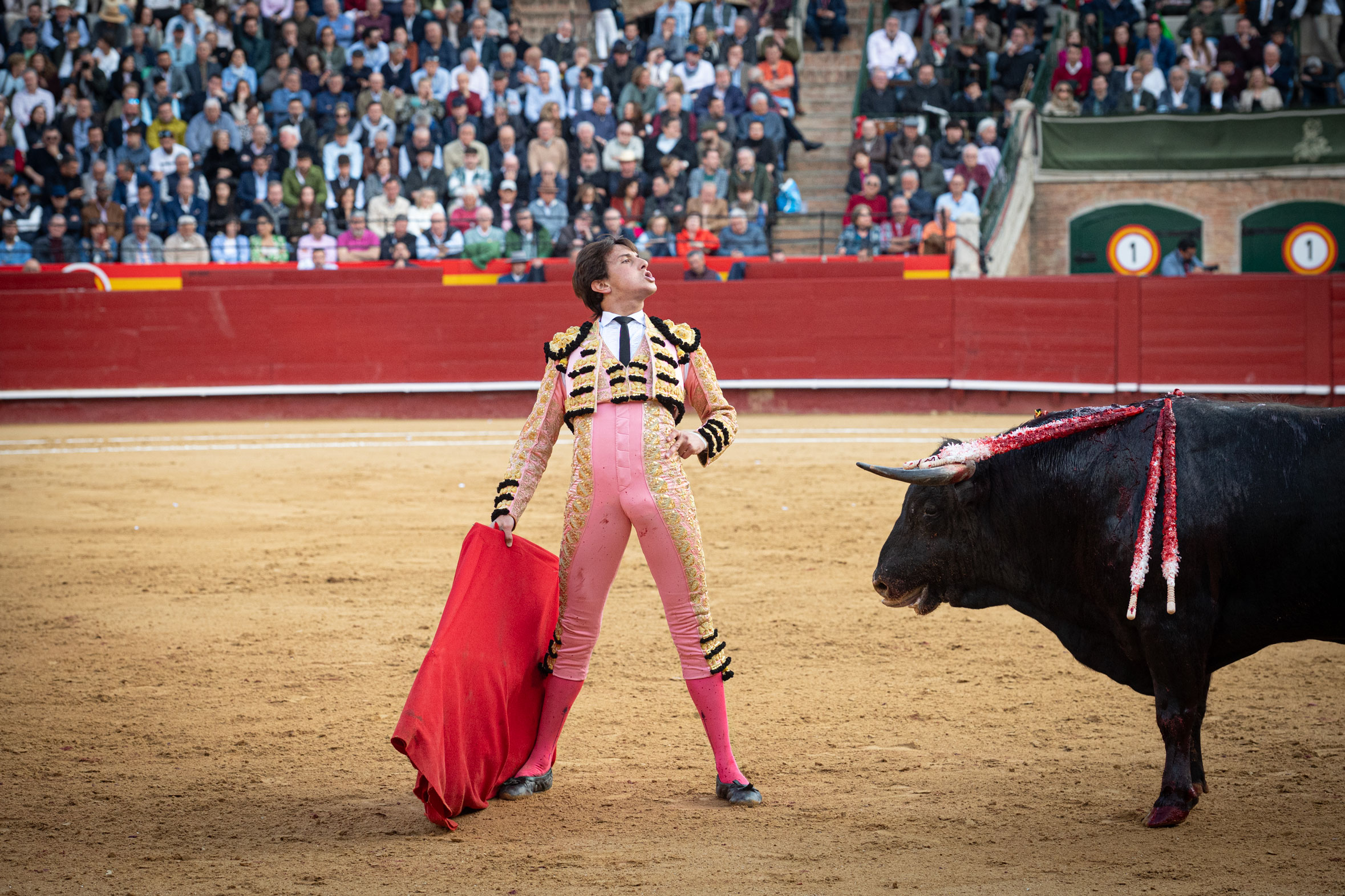 <p><span>Foto: Litugo / Nautalia</span></p>