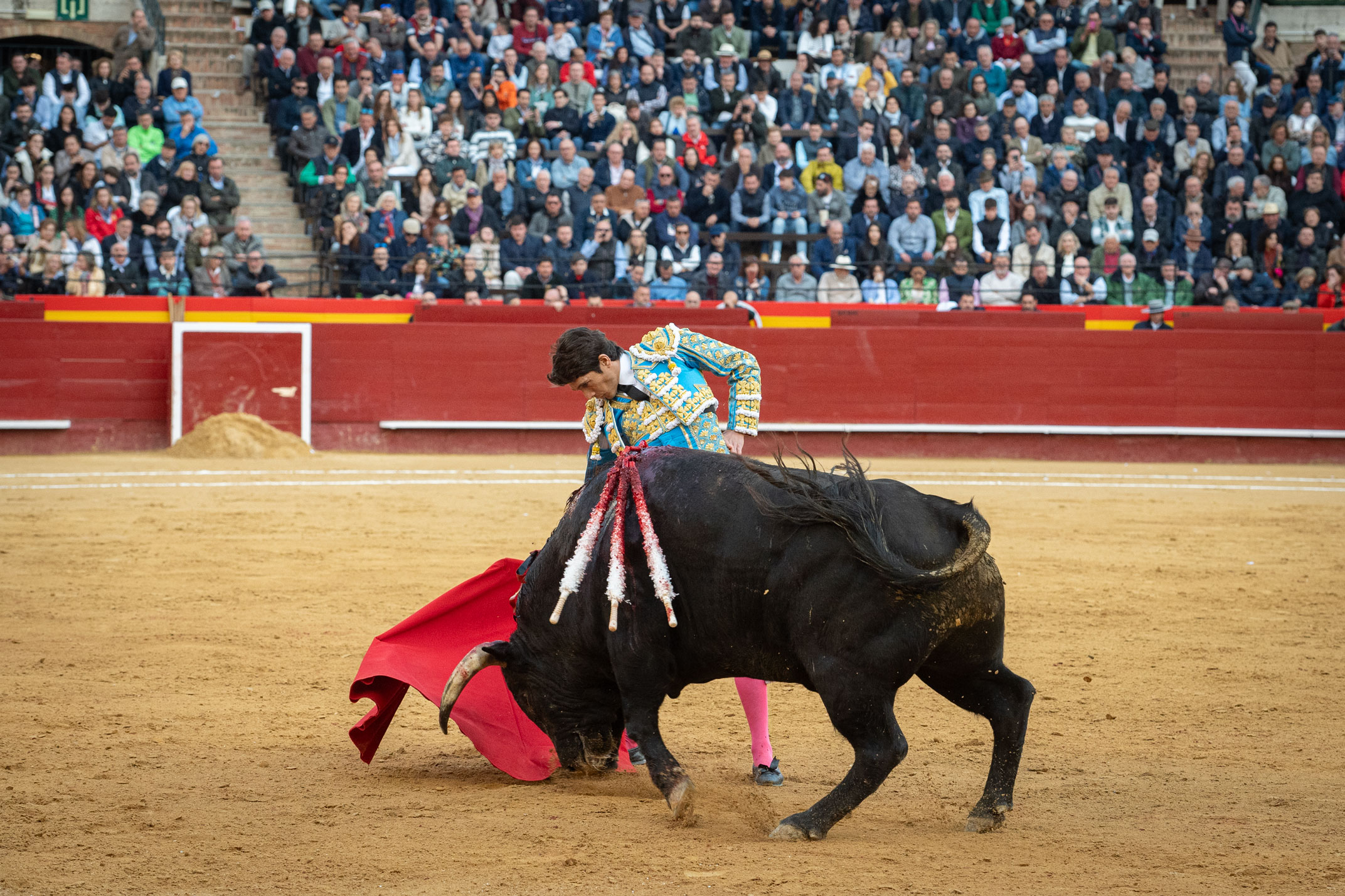 <p><span>Foto: Litugo / Nautalia</span></p>