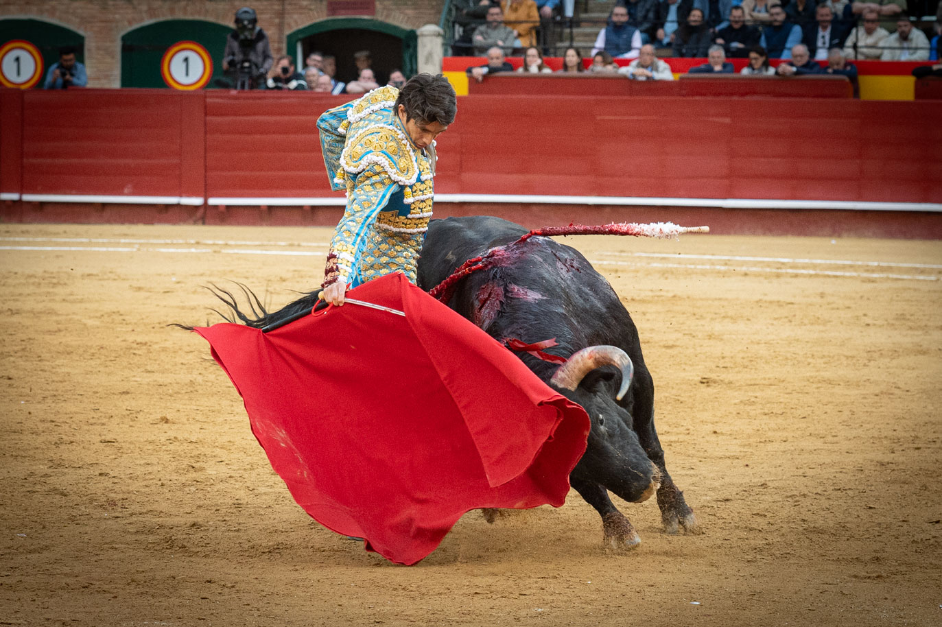 <p><span>Foto: Litugo / Nautalia</span></p>