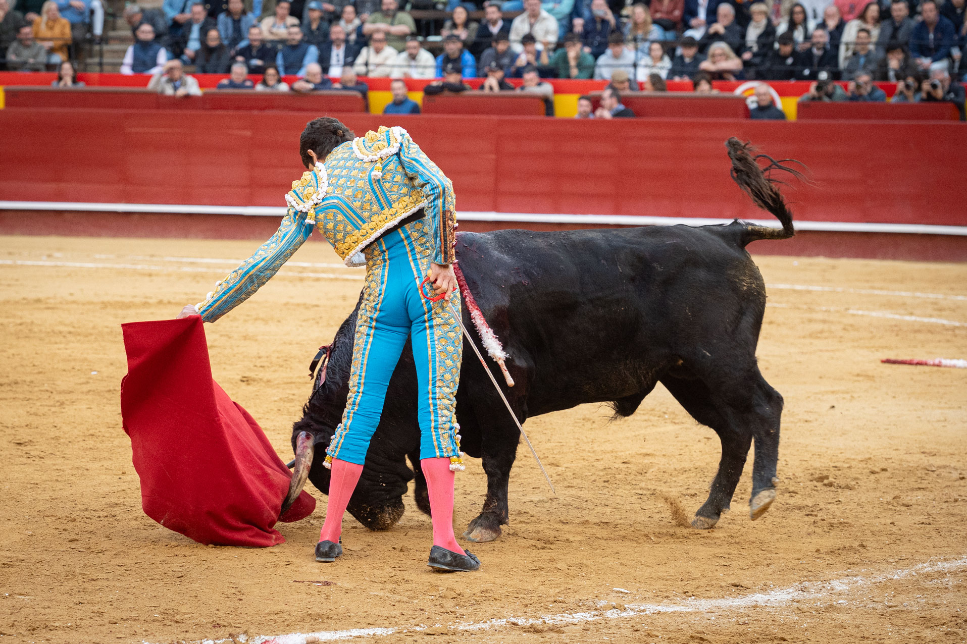 <p><span>Foto: Litugo / Nautalia</span></p>