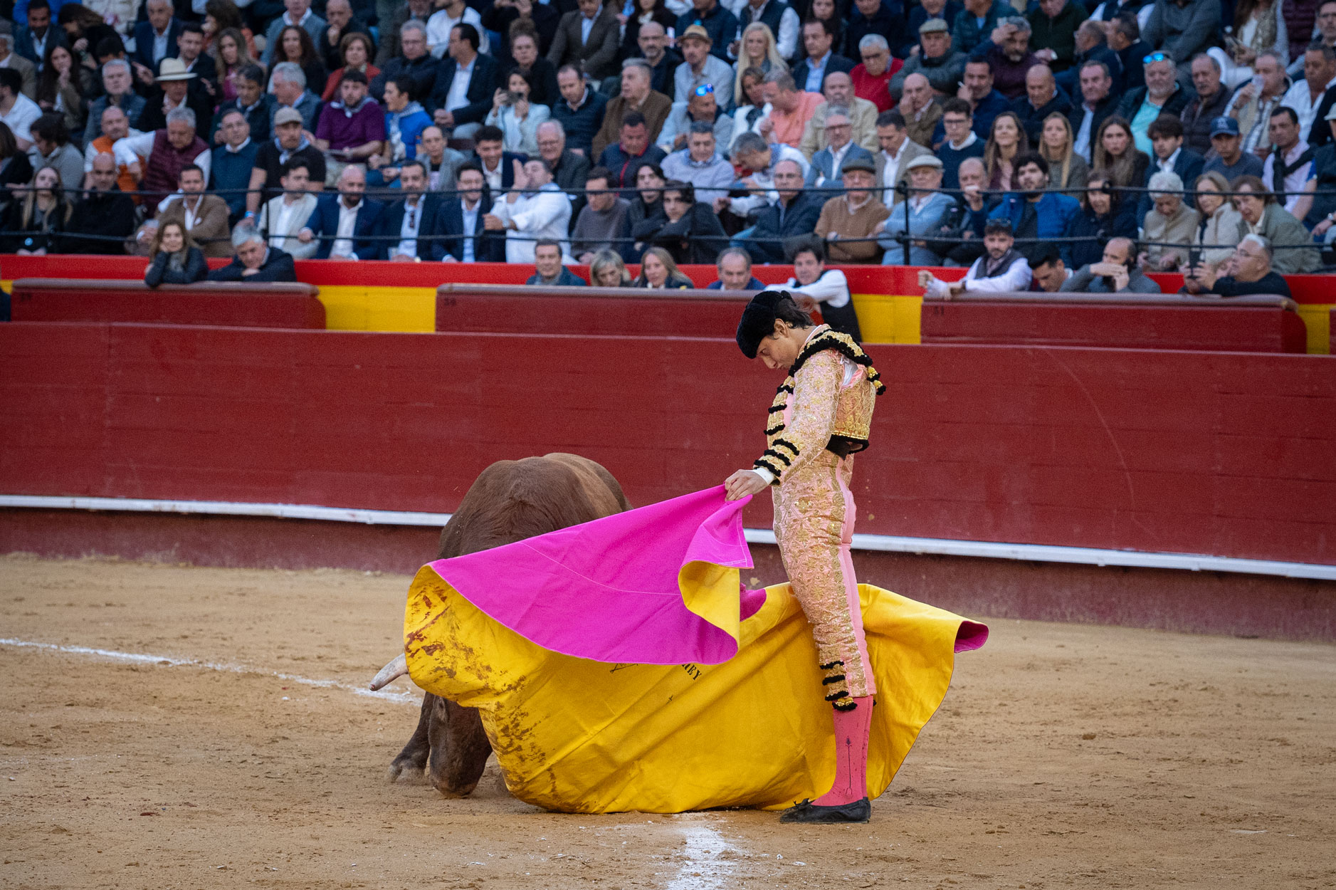 <p><span>Foto: Litugo / Nautalia</span></p>