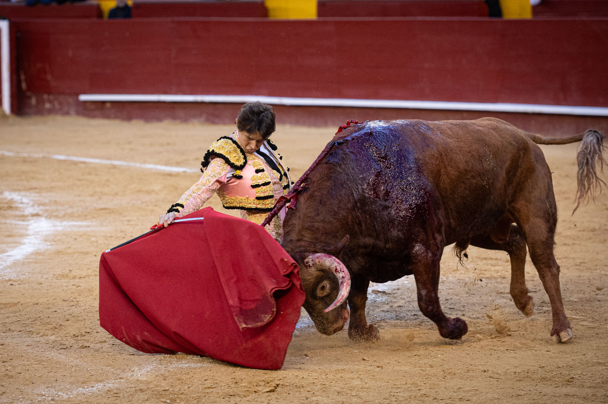 <p><span>Foto: Litugo / Nautalia</span></p>
