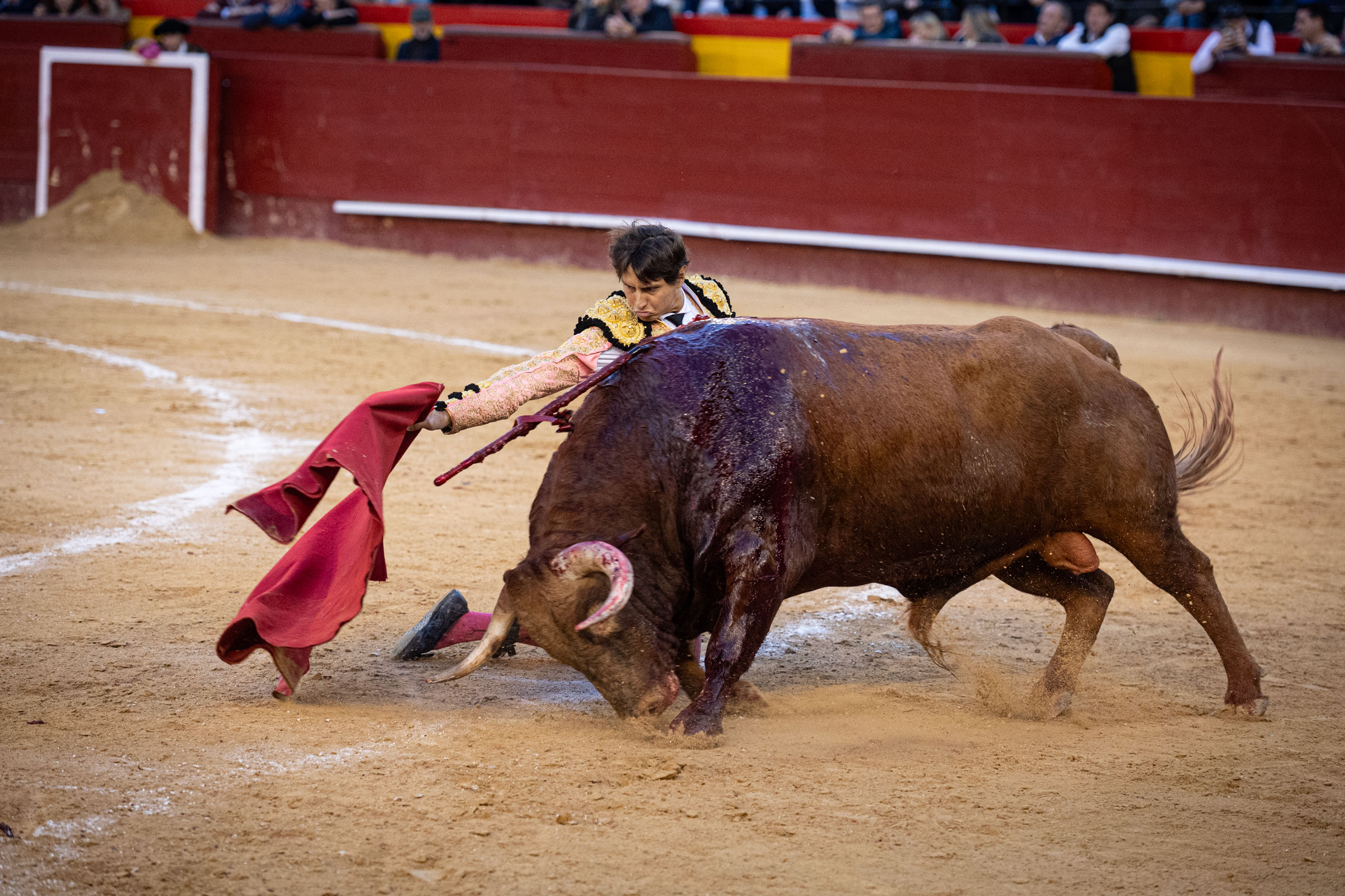 <p><span>Foto: Litugo / Nautalia</span></p>