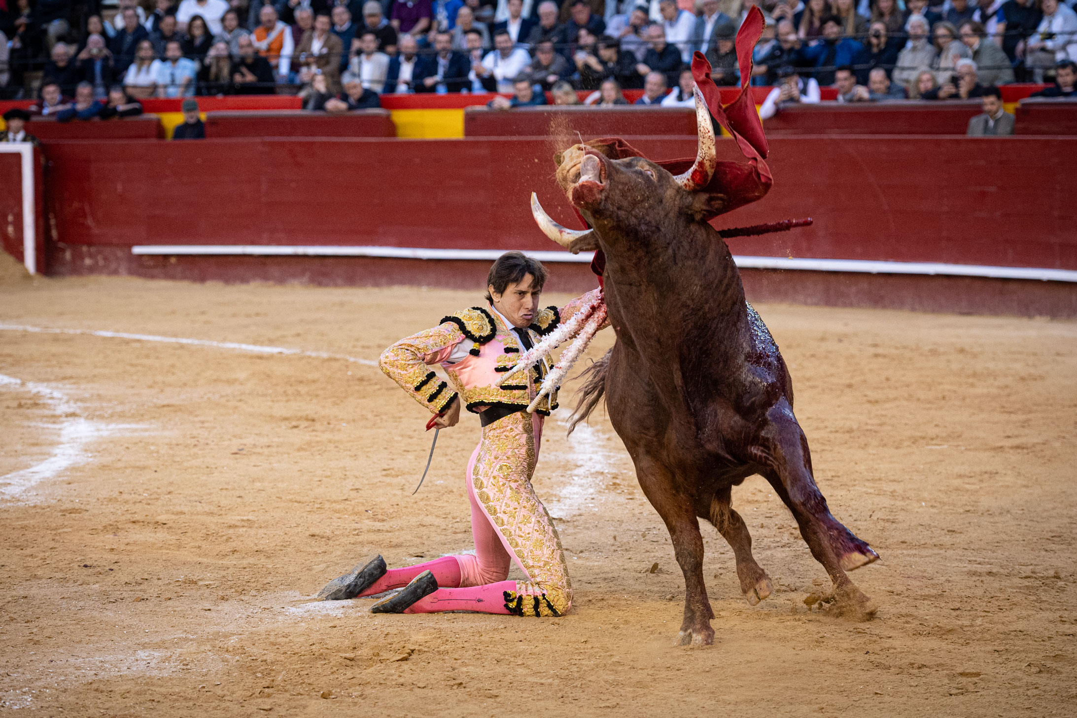 <p><span>Foto: Litugo / Nautalia</span></p>