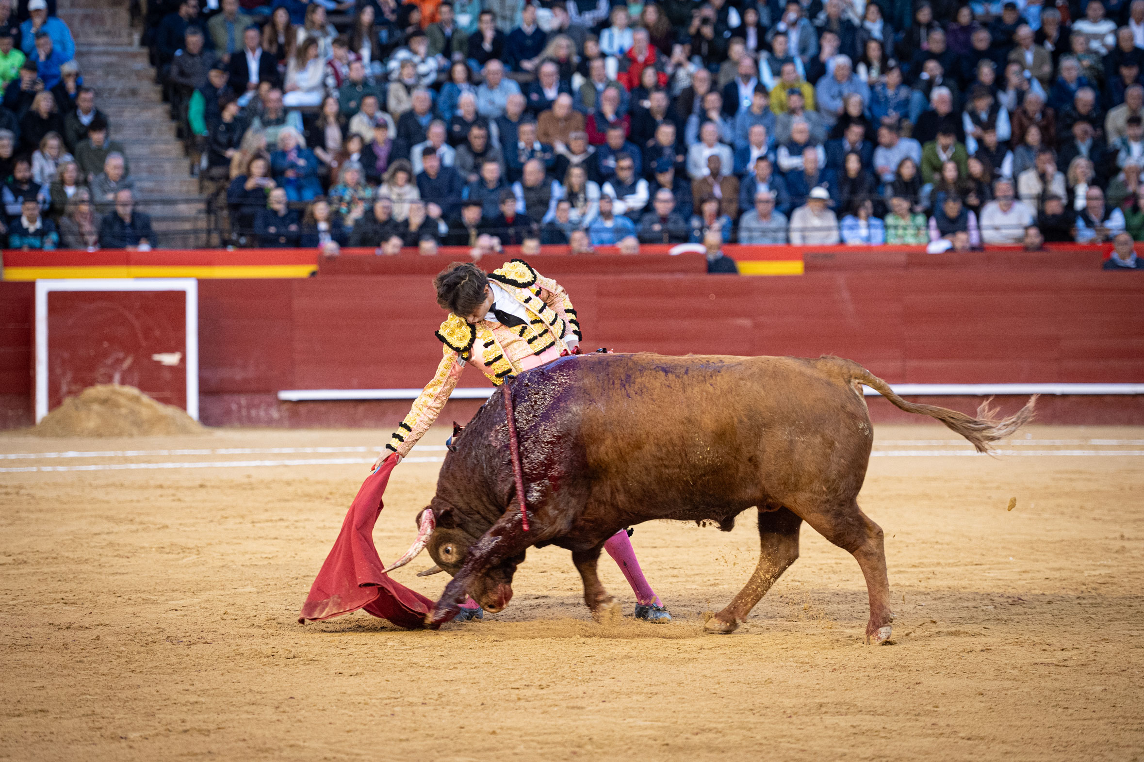 <p><span>Foto: Litugo / Nautalia</span></p>