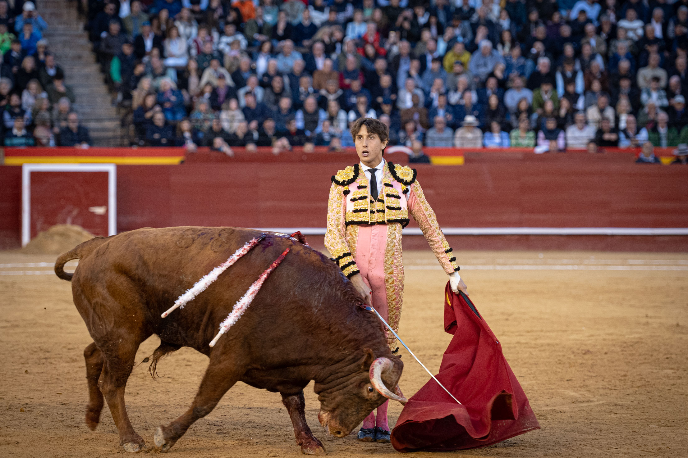 <p><span>Foto: Litugo / Nautalia</span></p>