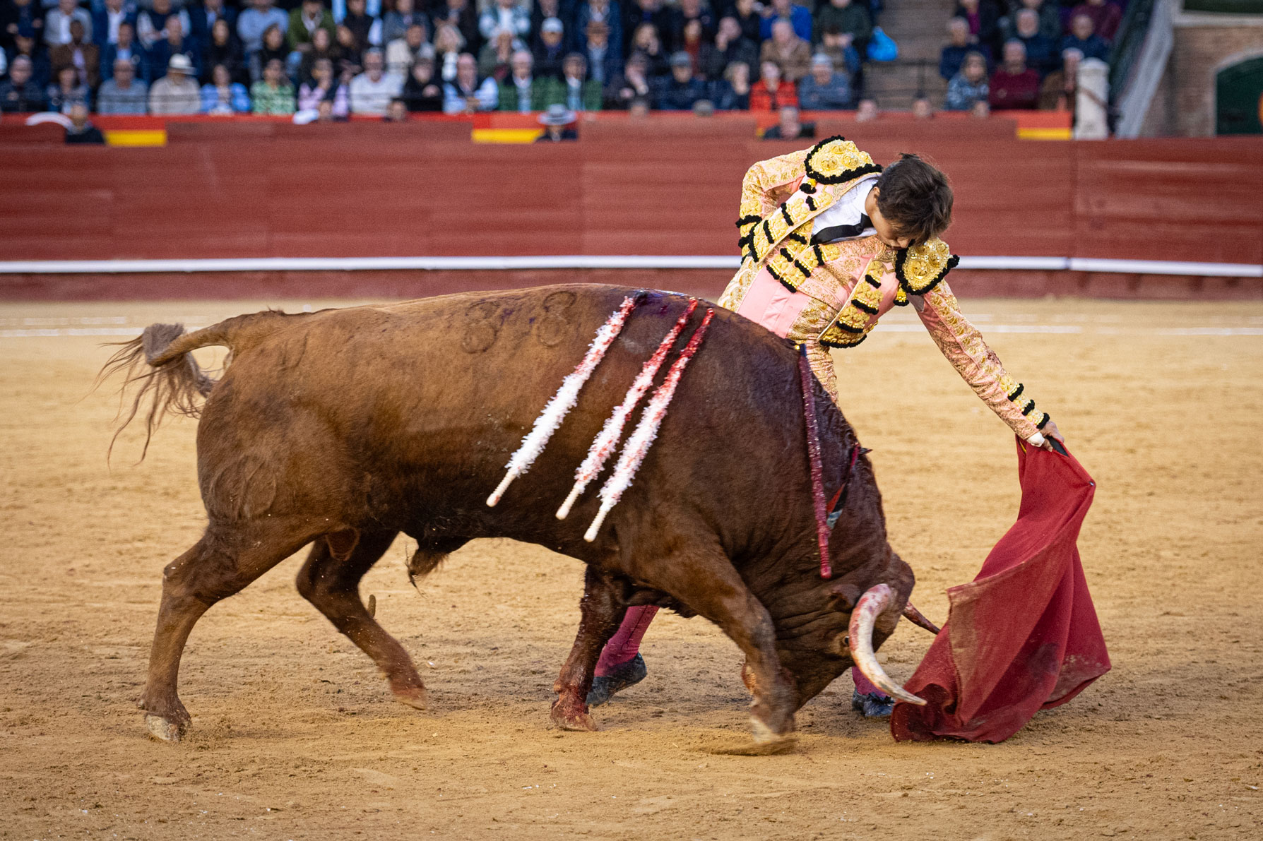 <p><span>Foto: Litugo / Nautalia</span></p>