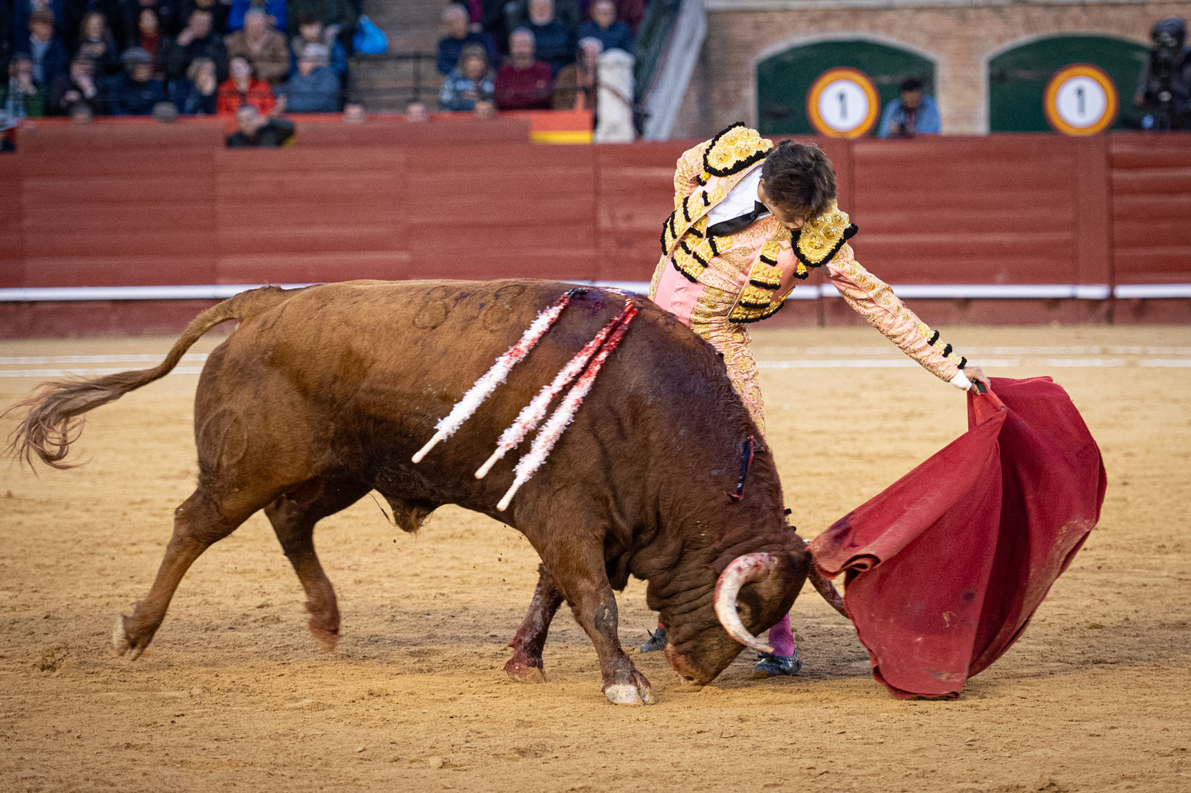 <p><span>Foto: Litugo / Nautalia</span></p>