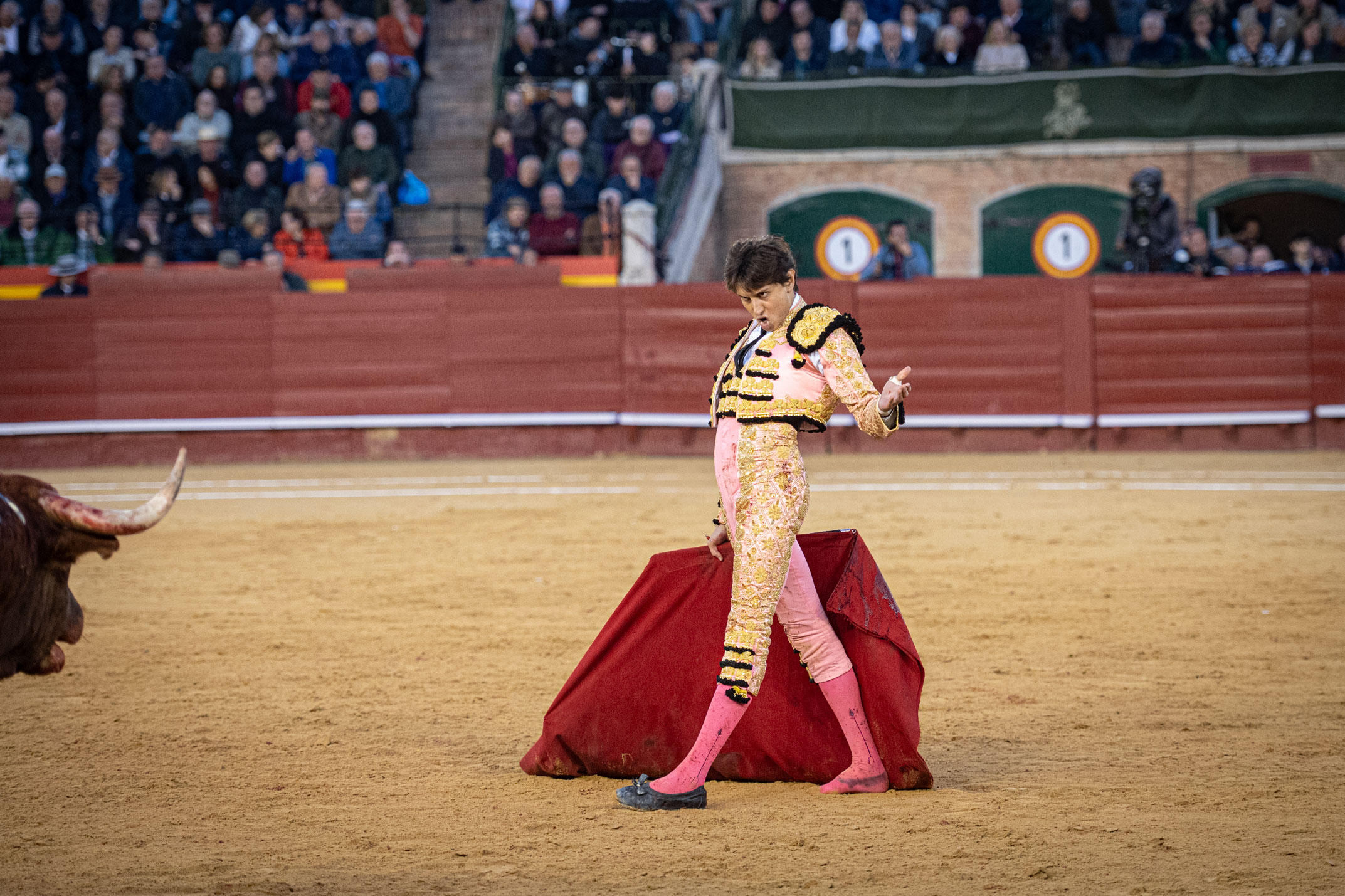 <p><span>Foto: Litugo / Nautalia</span></p>