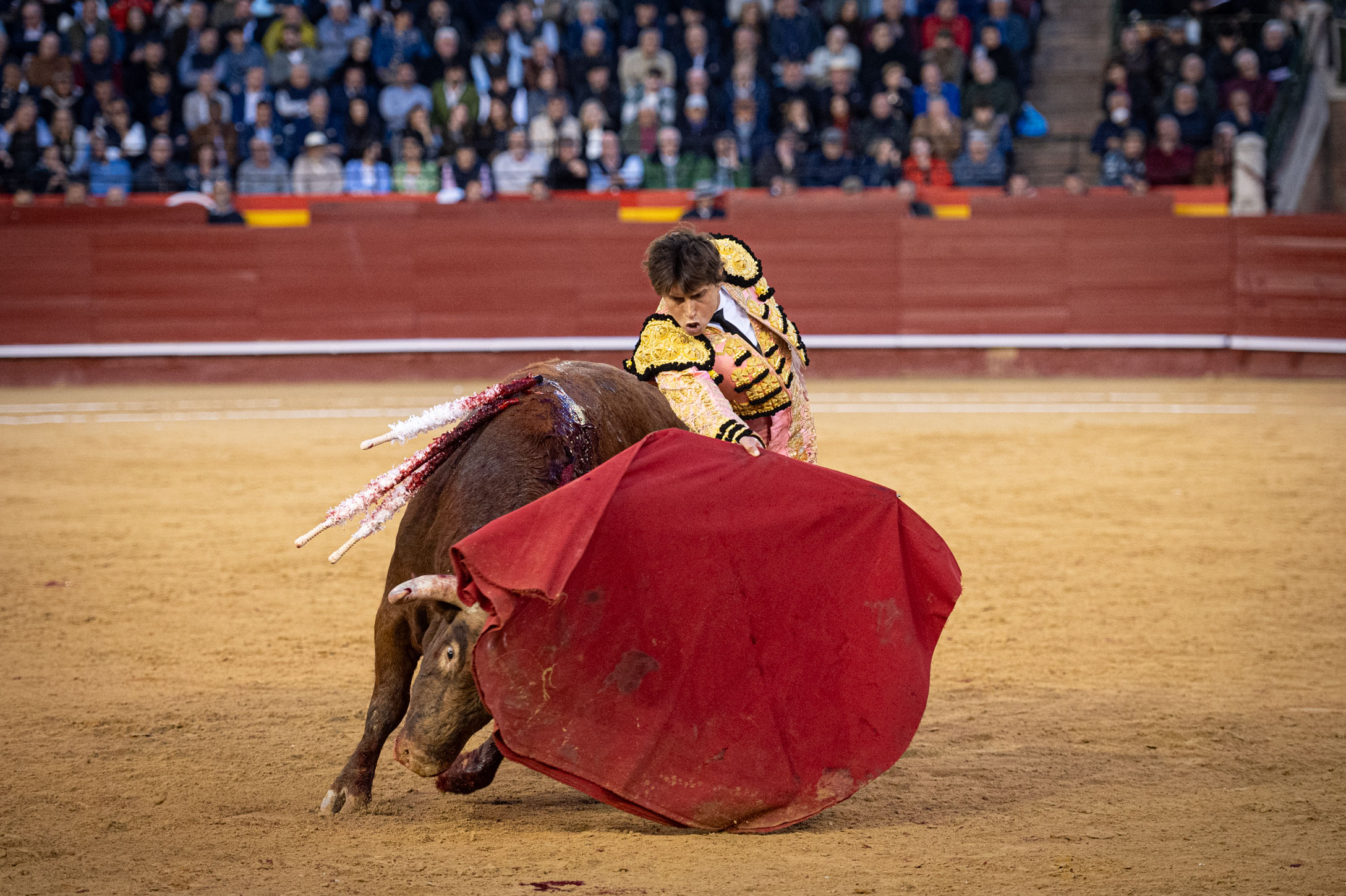<p><span>Foto: Litugo / Nautalia</span></p>