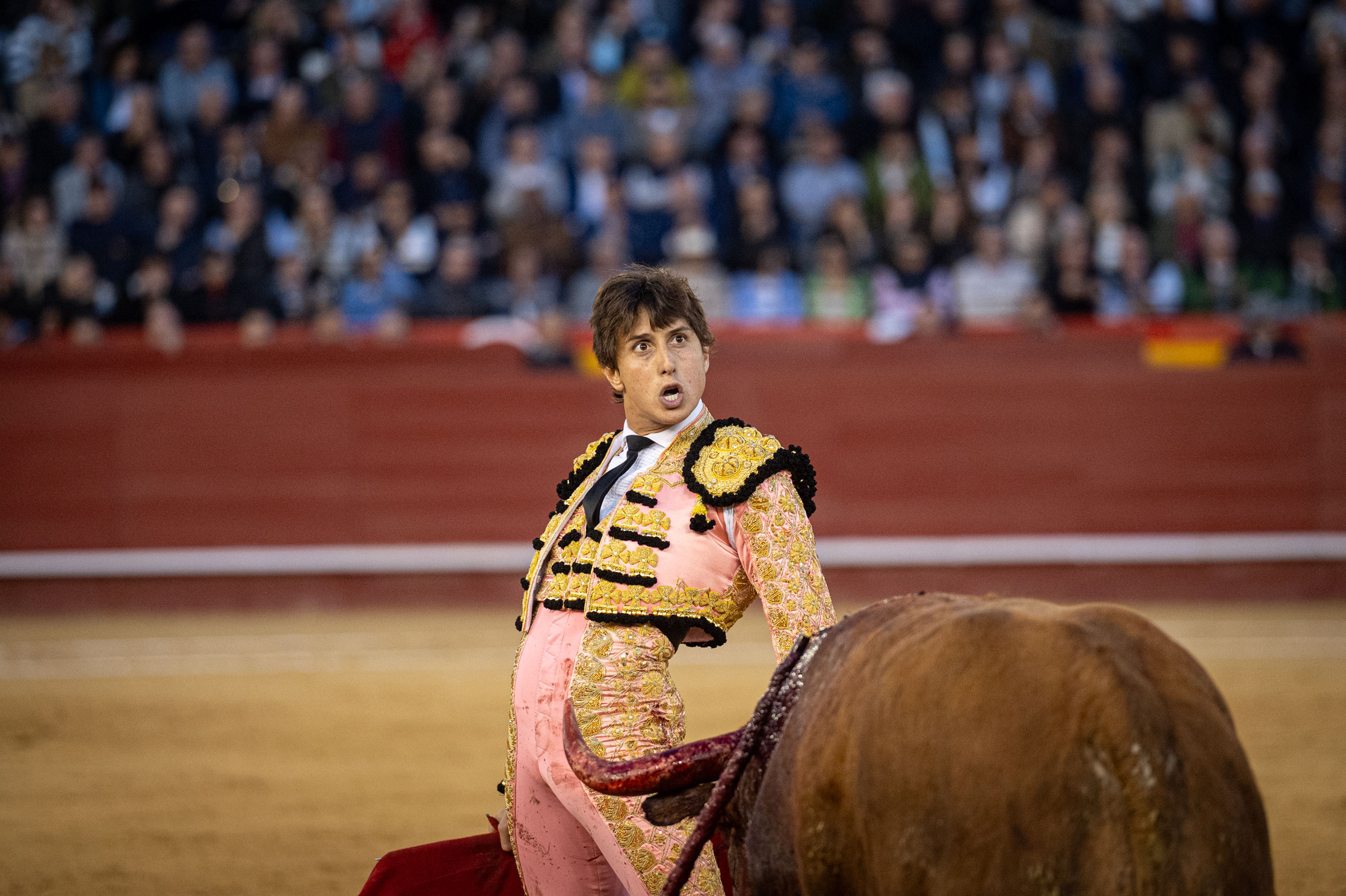<p><span>Foto: Litugo / Nautalia</span></p>
