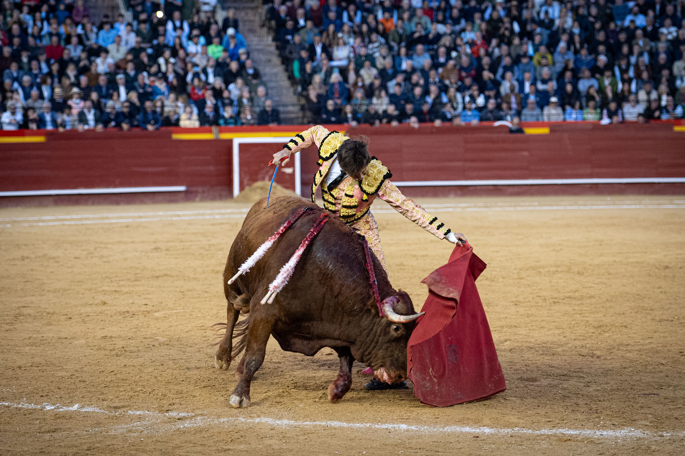 <p><span>Foto: Litugo / Nautalia</span></p>