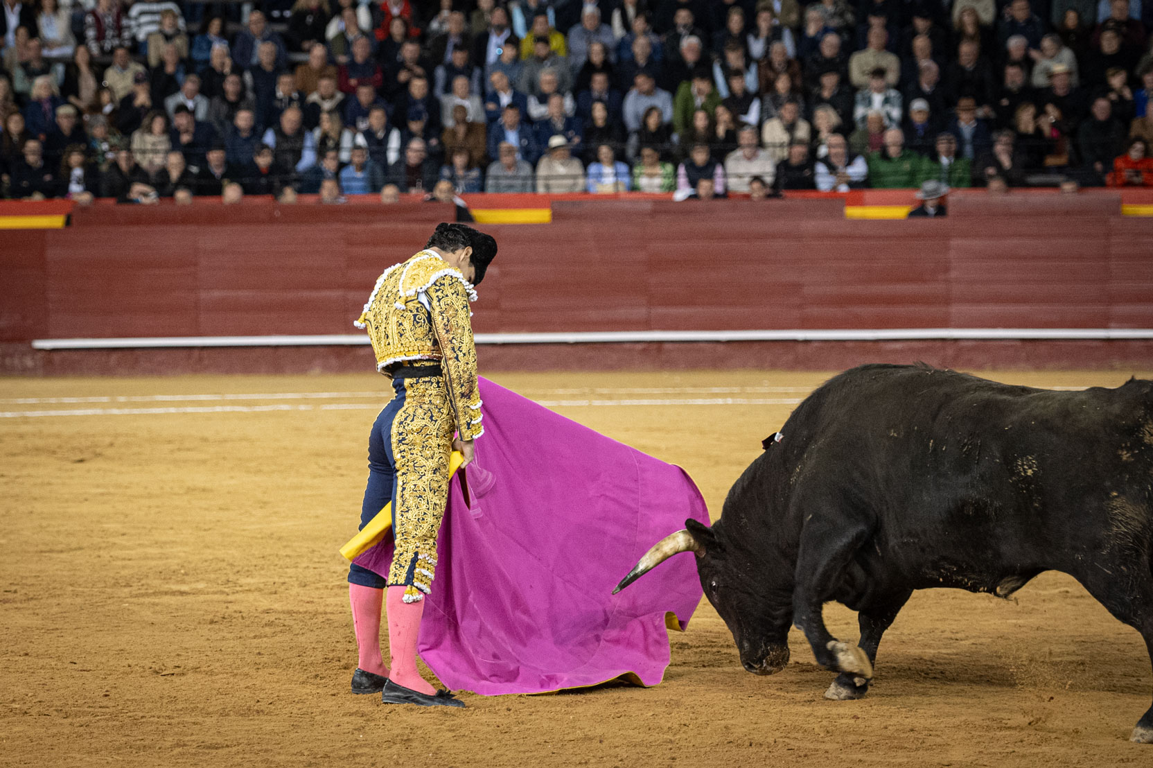 <p><span>Foto: Litugo / Nautalia</span></p>