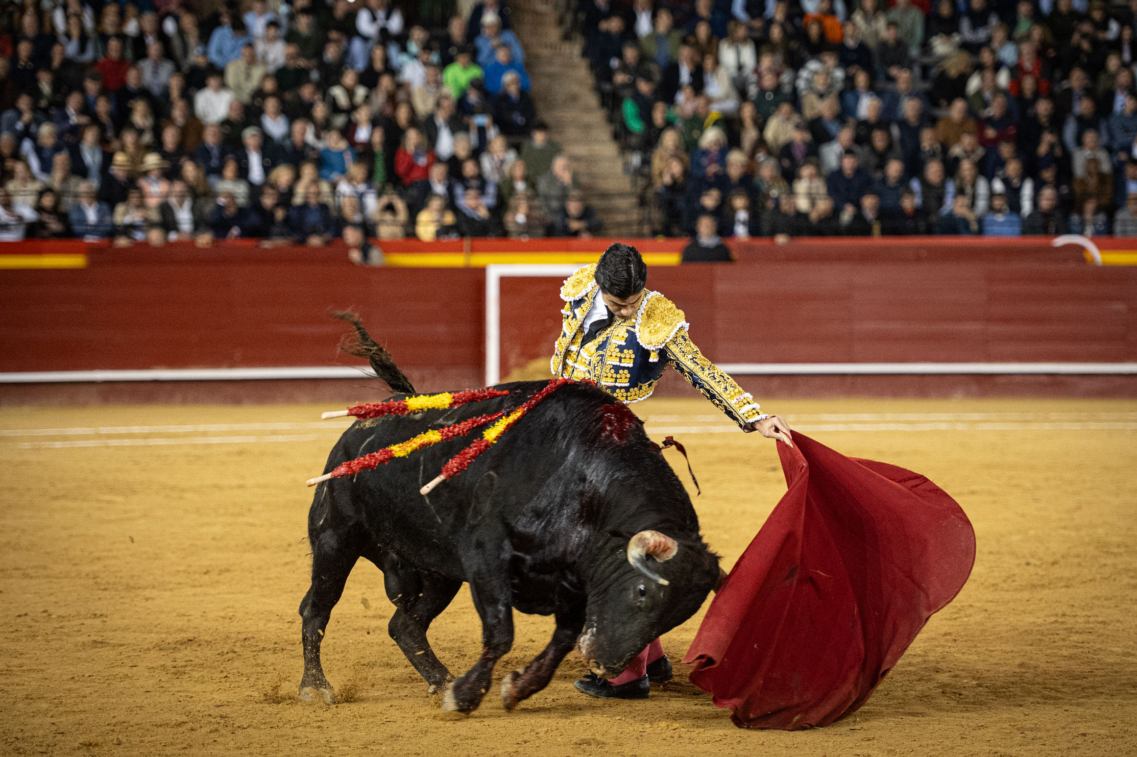 <p><span>Foto: Litugo / Nautalia</span></p>