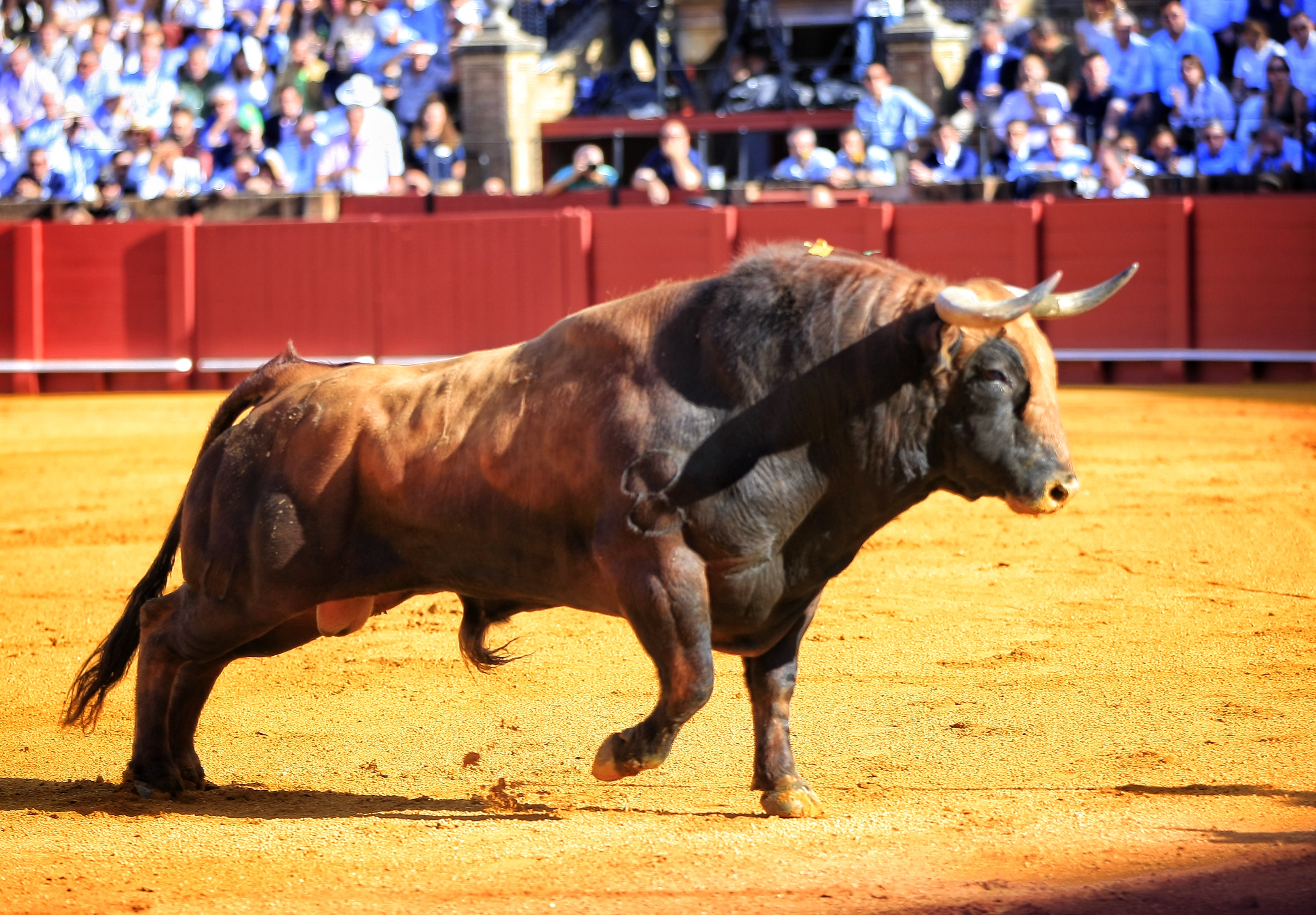 <p>Fotos: Arjona / Pagés</p>