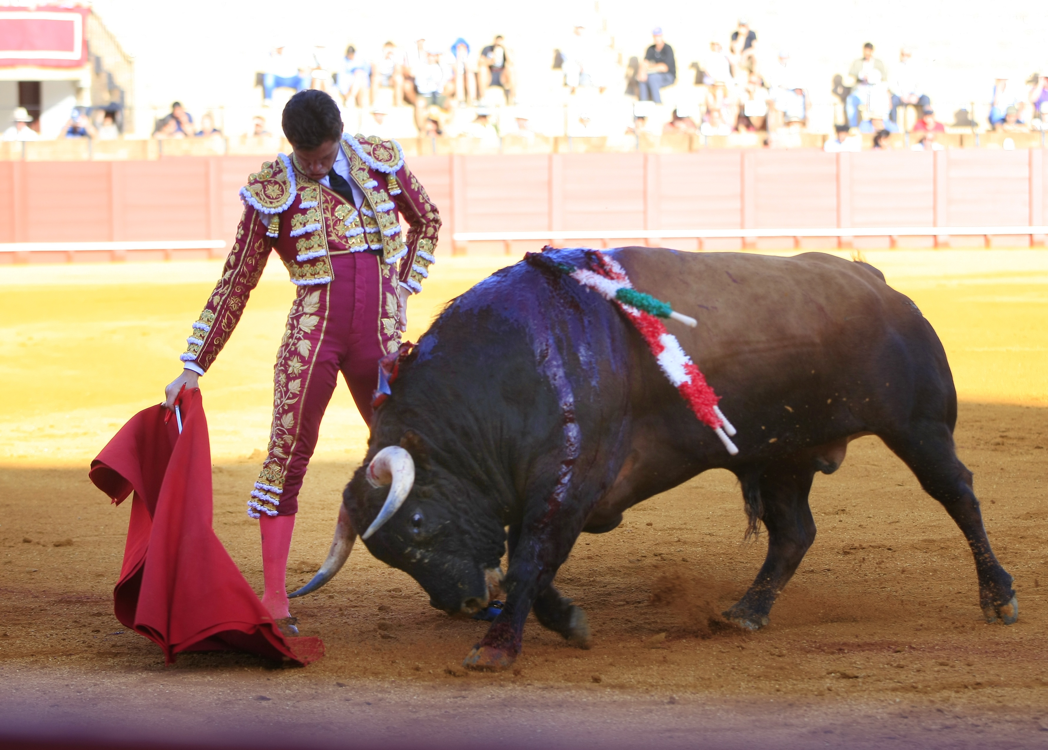 <p>Fotos: Arjona / Pagés</p>