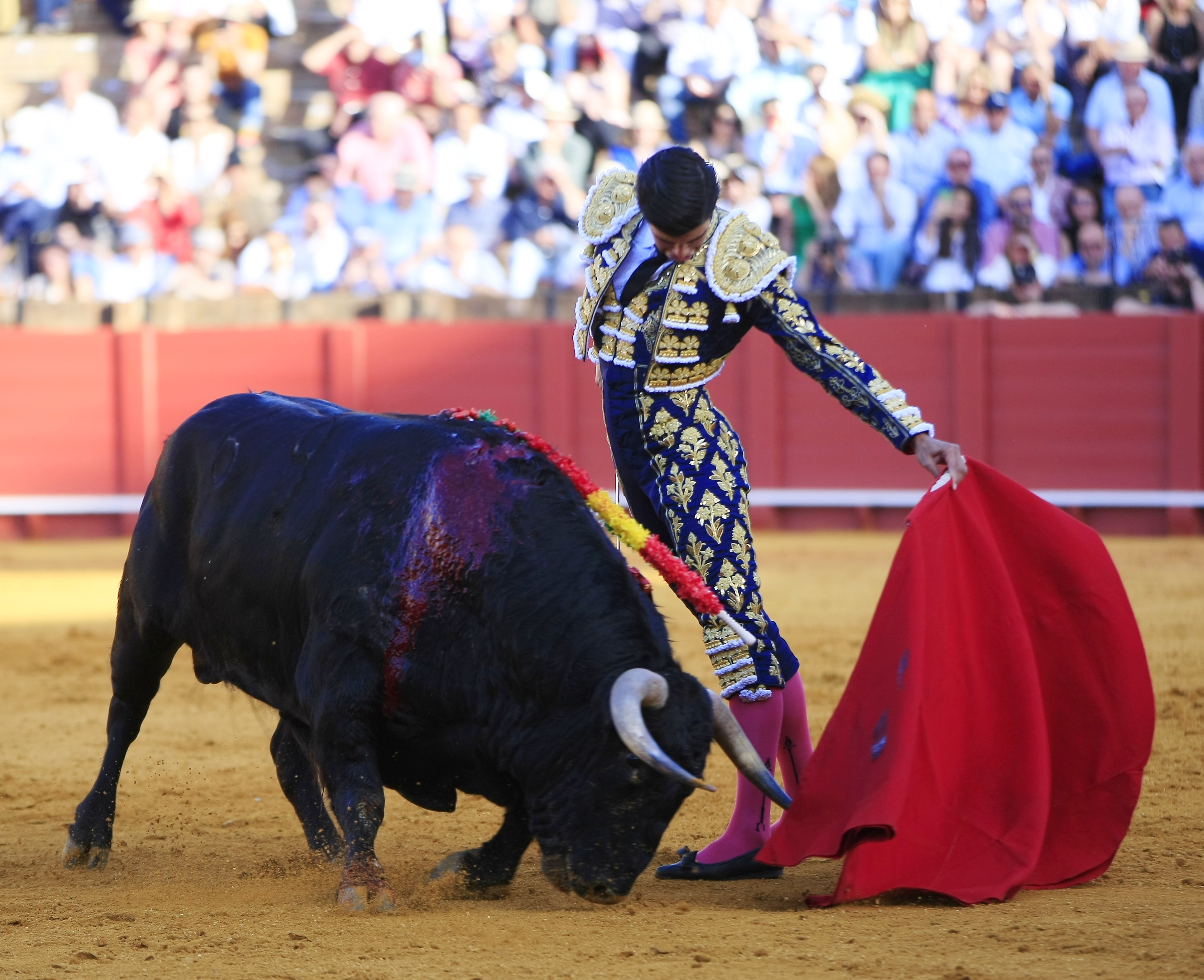 <p>Fotos: Arjona / Pagés</p>