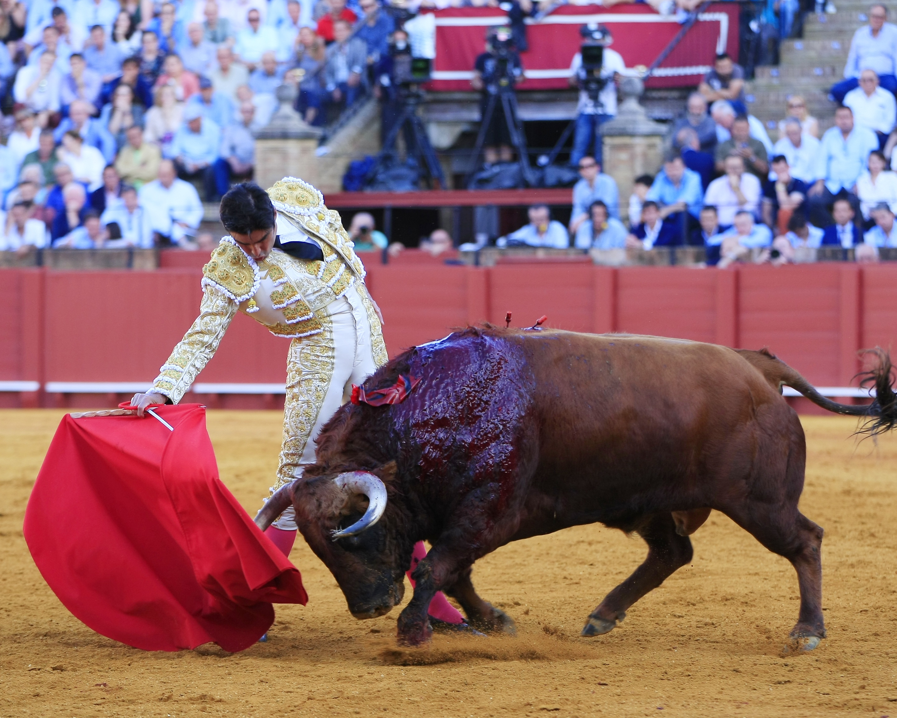 <p>Fotos: Arjona / Pagés</p>
