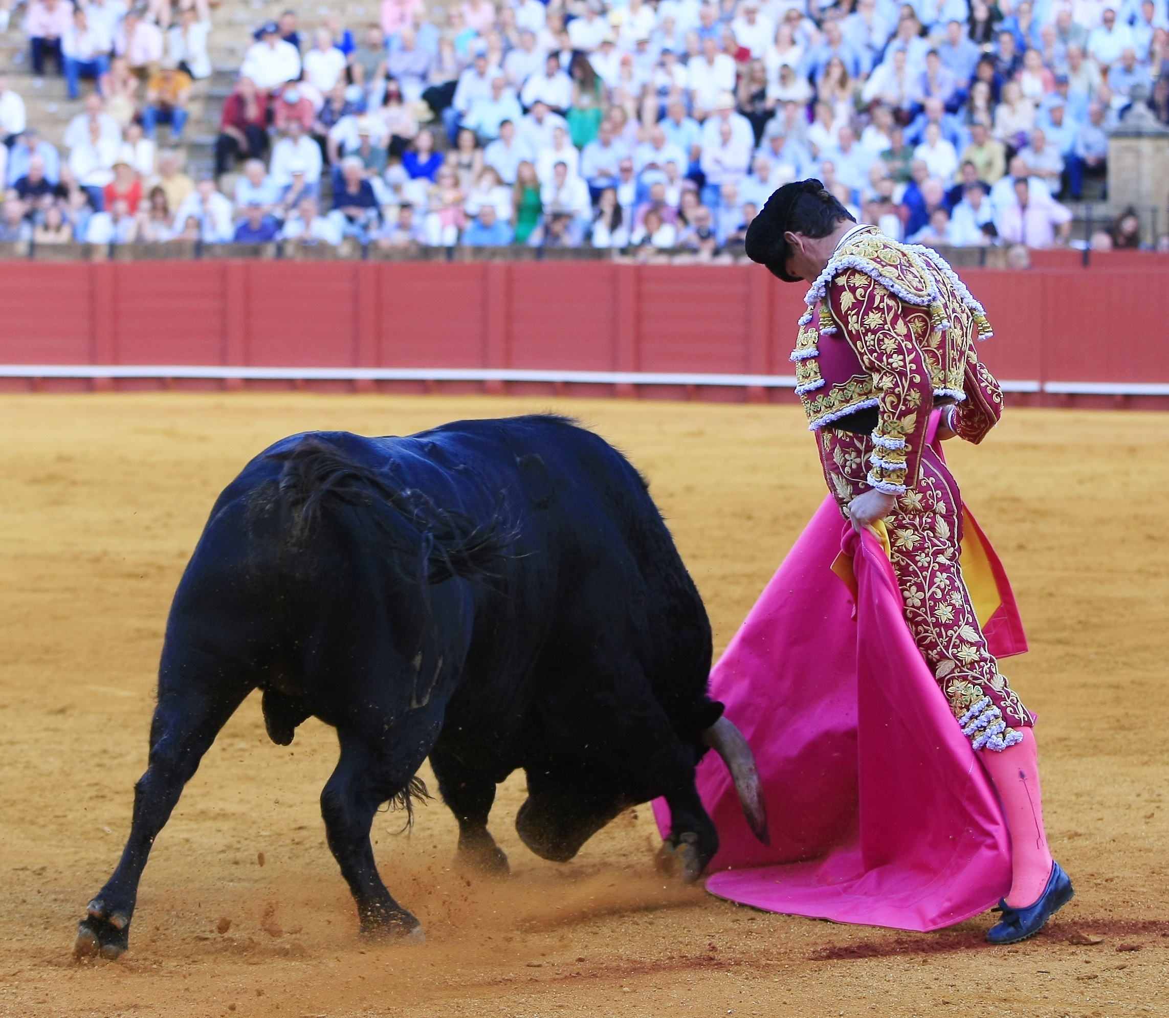 <p>Fotos: Arjona / Pagés</p>