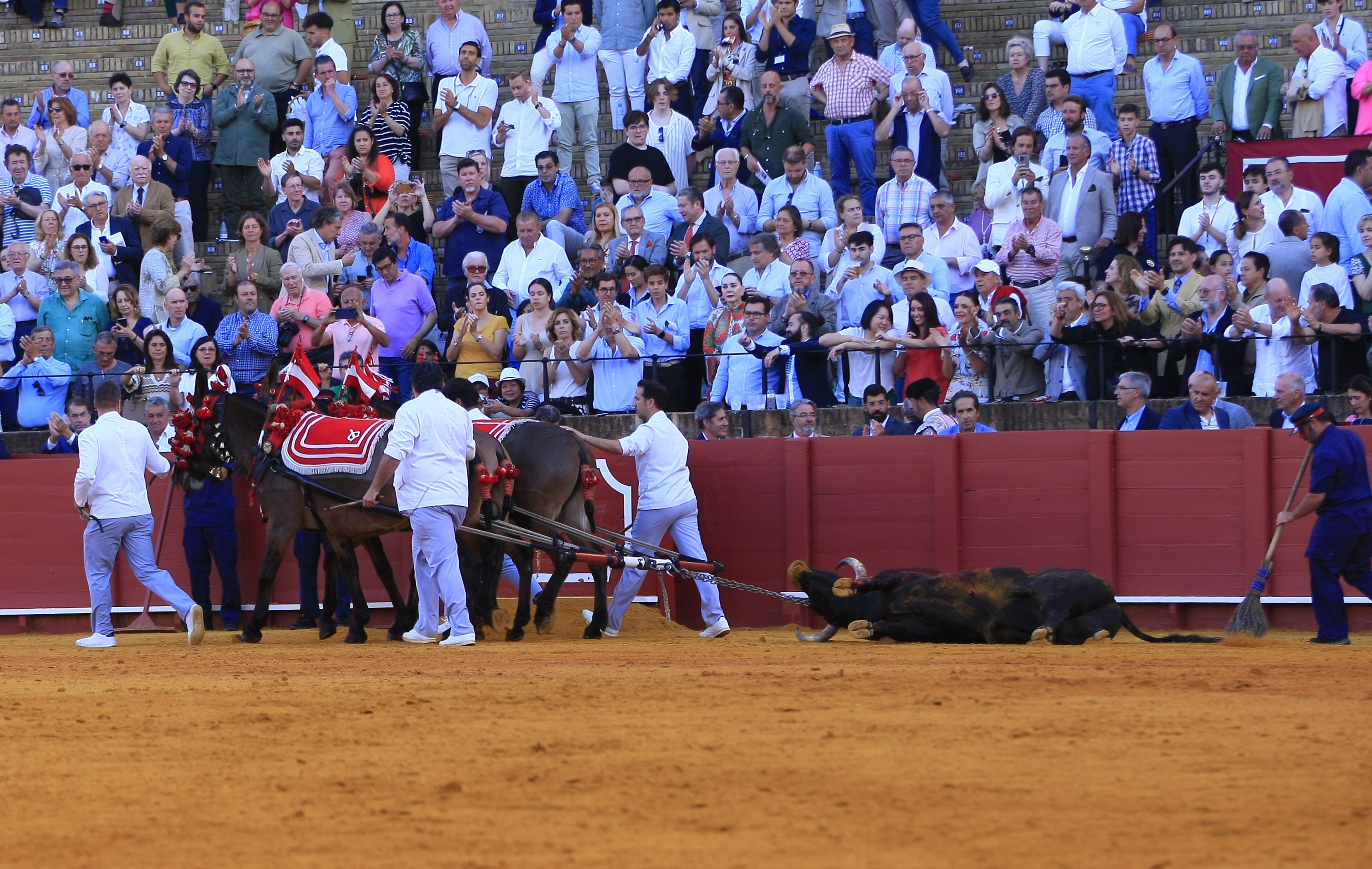 <p>Fotos: Arjona / Pagés</p>