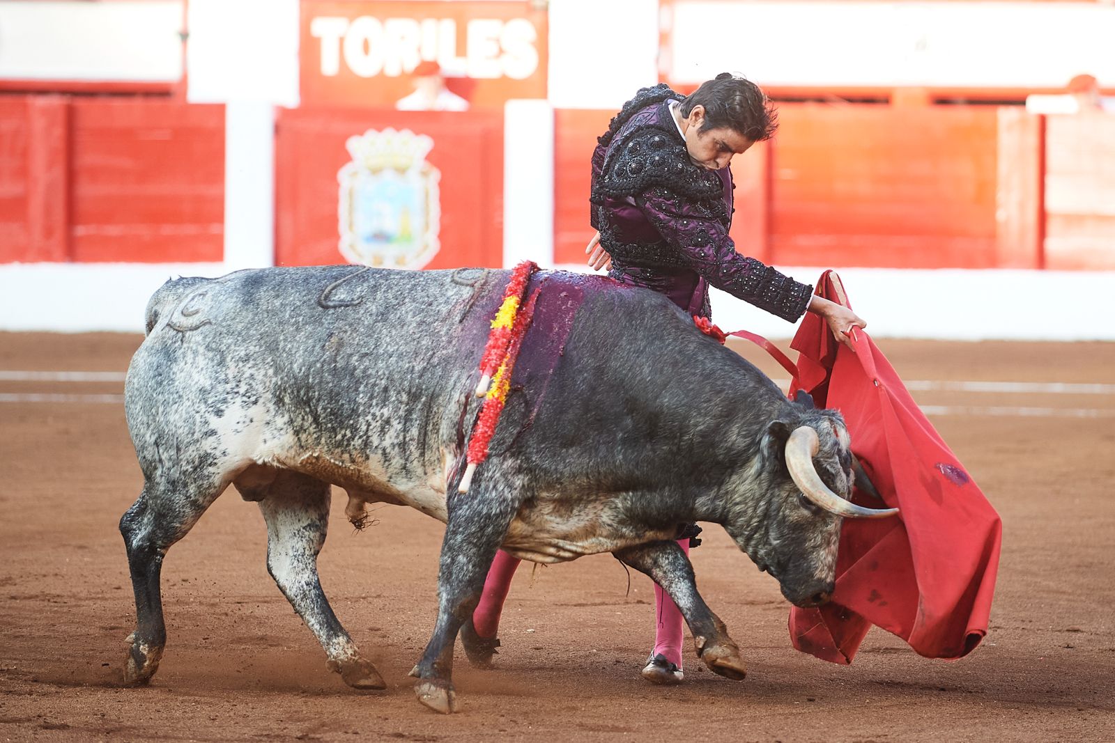 <p>Foto: © César Ortiz</p>