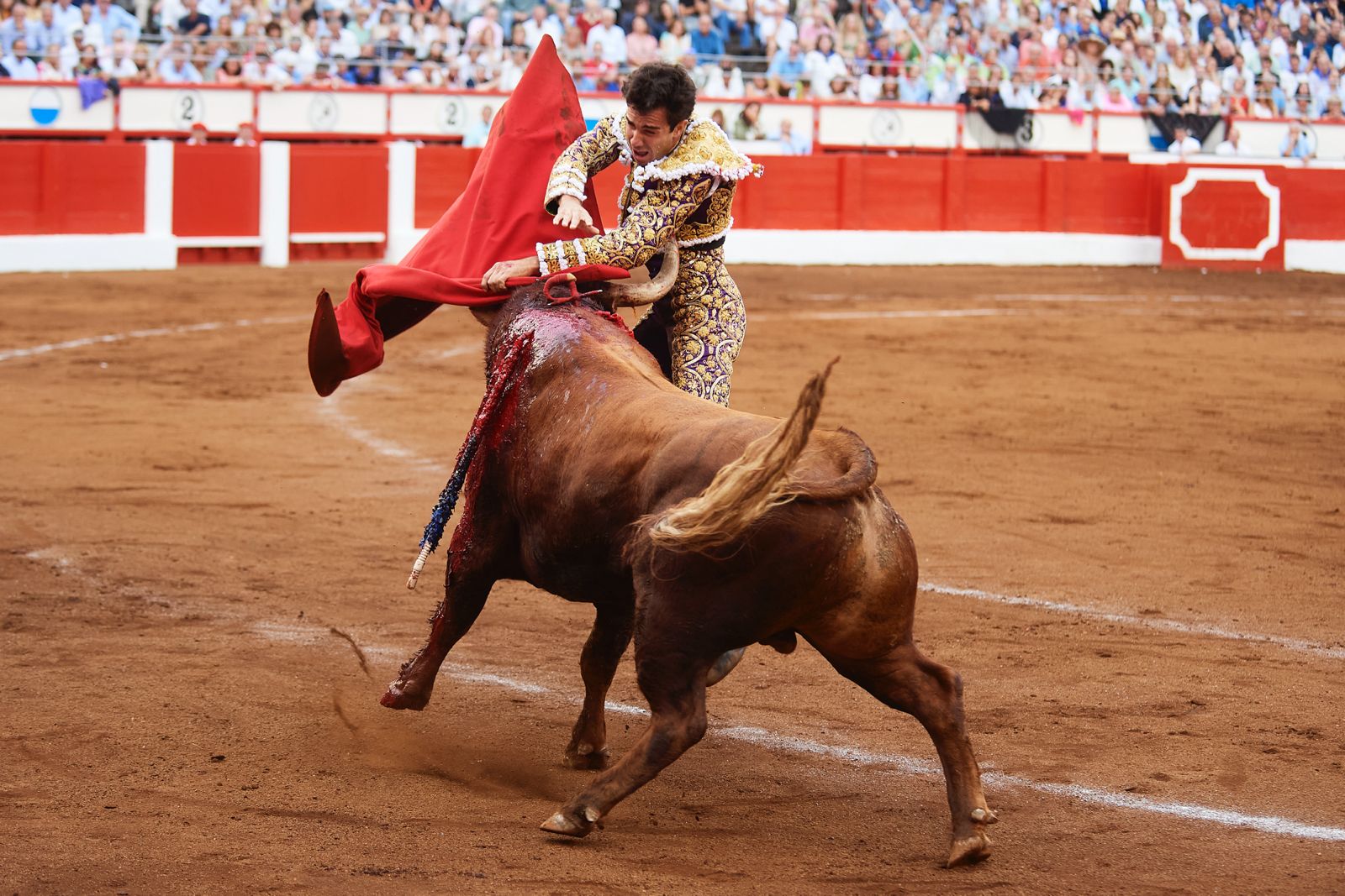 <p>Foto: © César Ortiz</p>