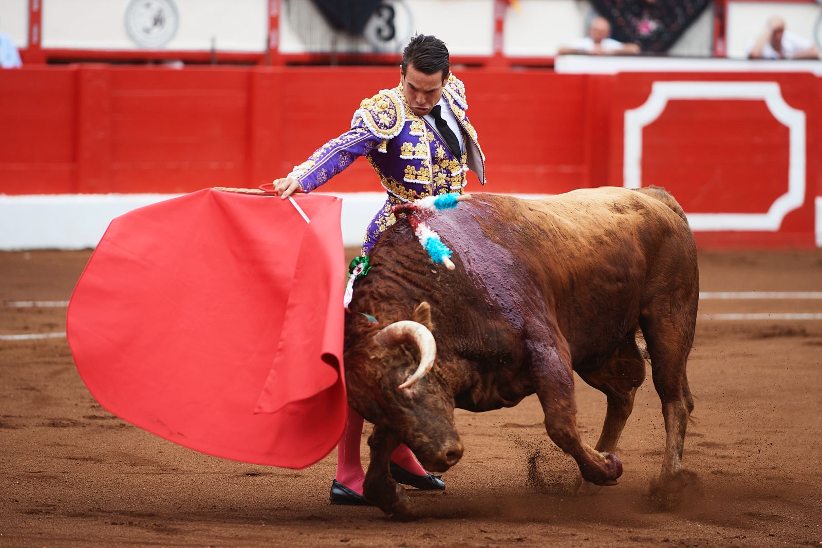 <p>Foto: © César Ortiz</p>