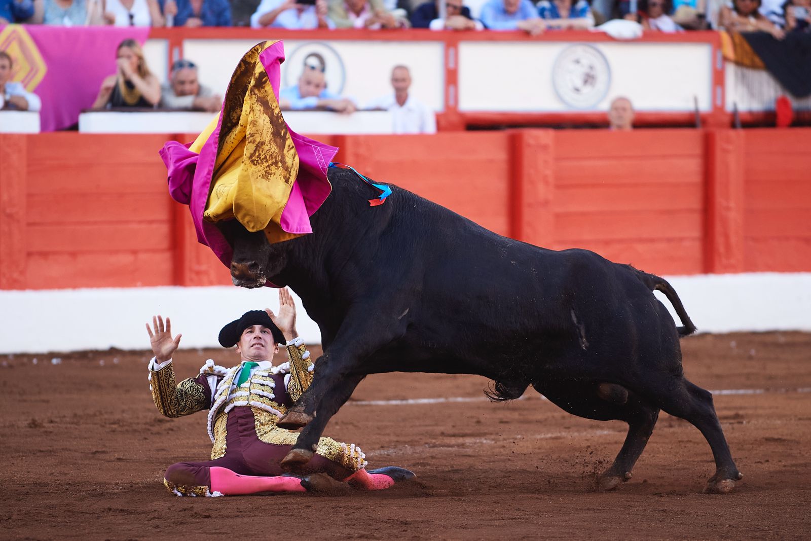 <p>Foto: © César Ortiz</p>