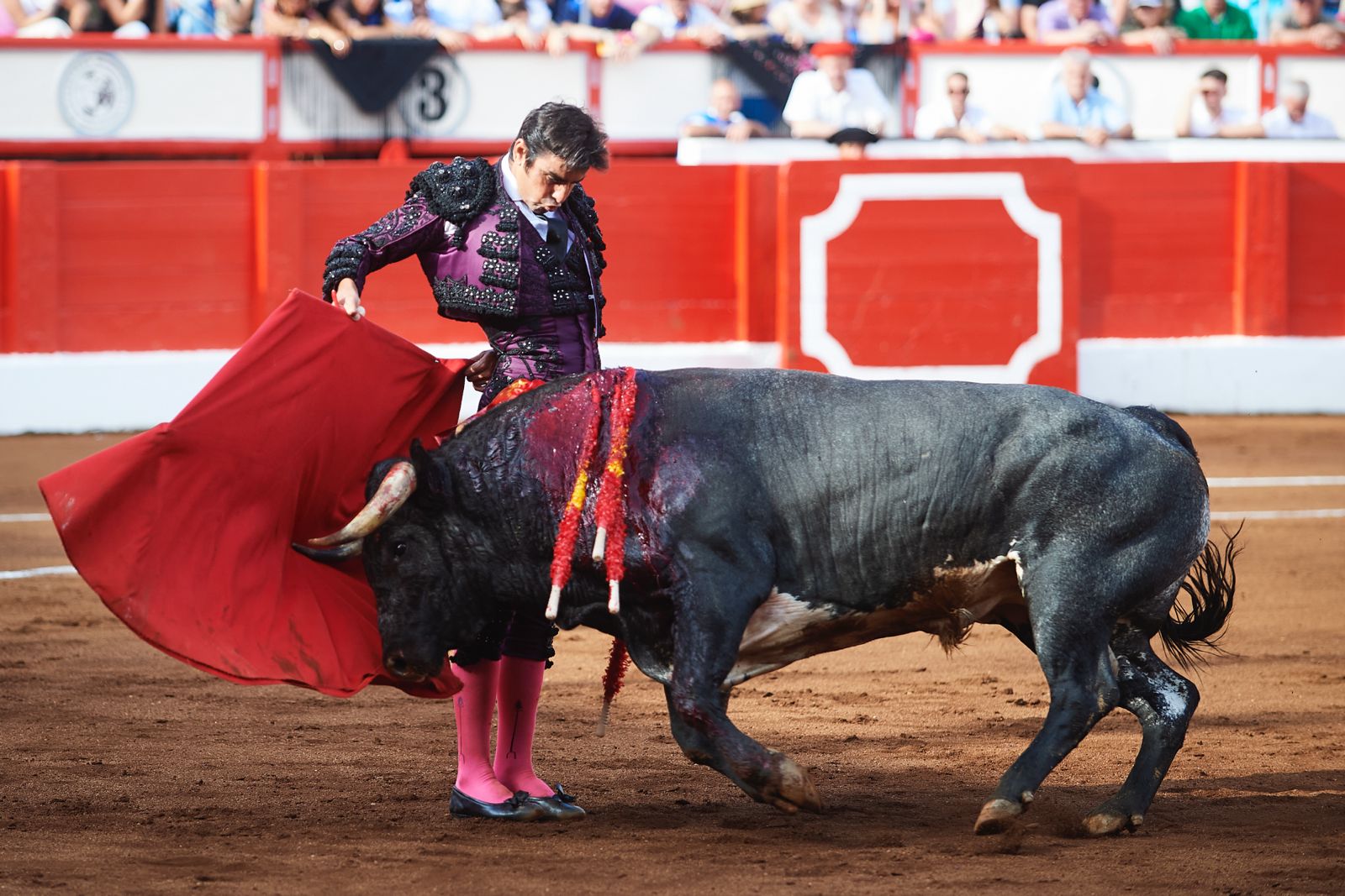 <p>Foto: © César Ortiz</p>