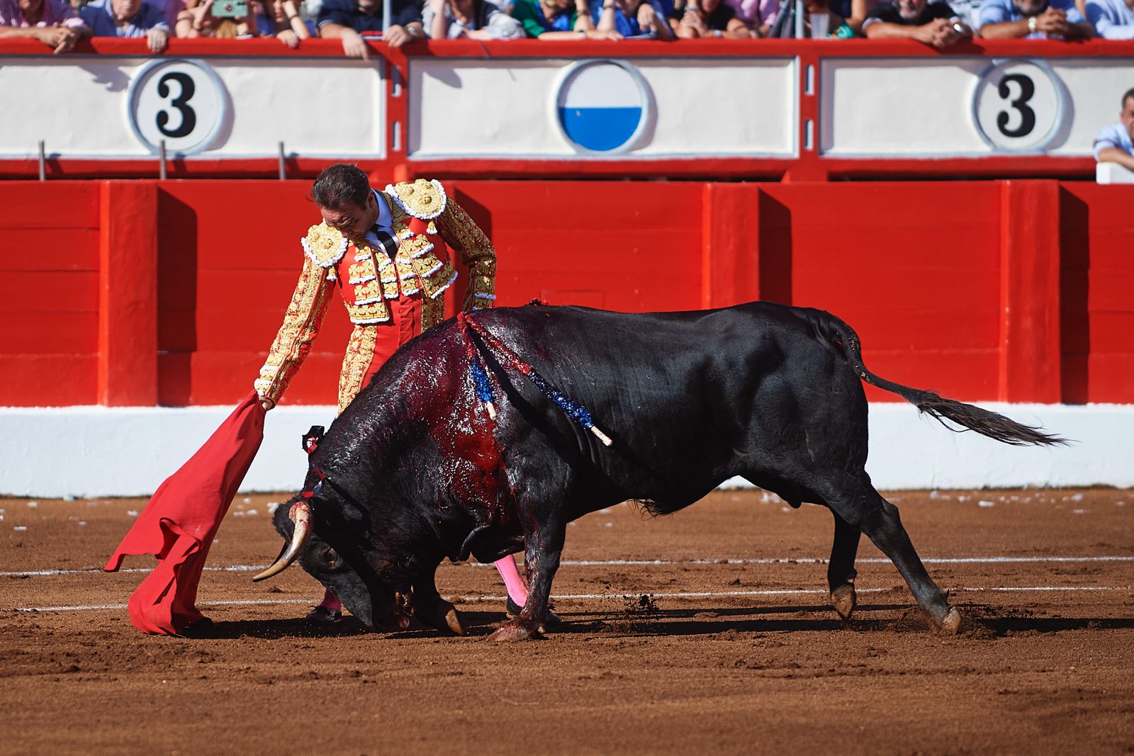 <p>Foto: © César Ortiz</p>