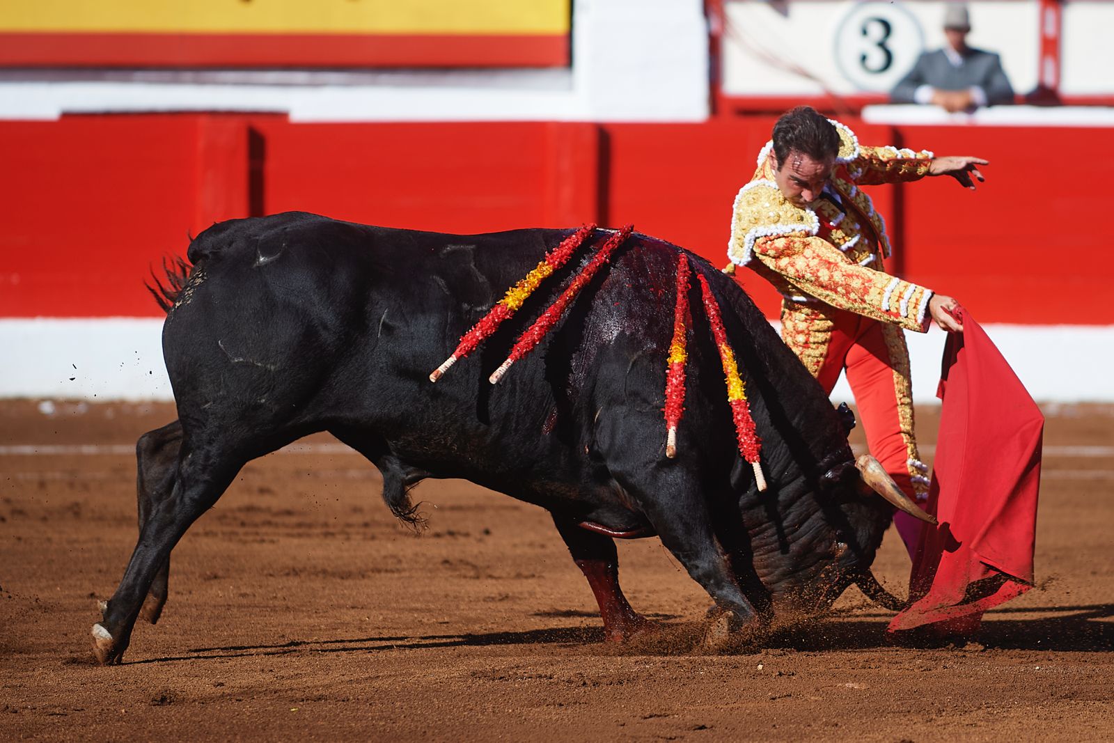 <p>Foto: © César Ortiz</p>