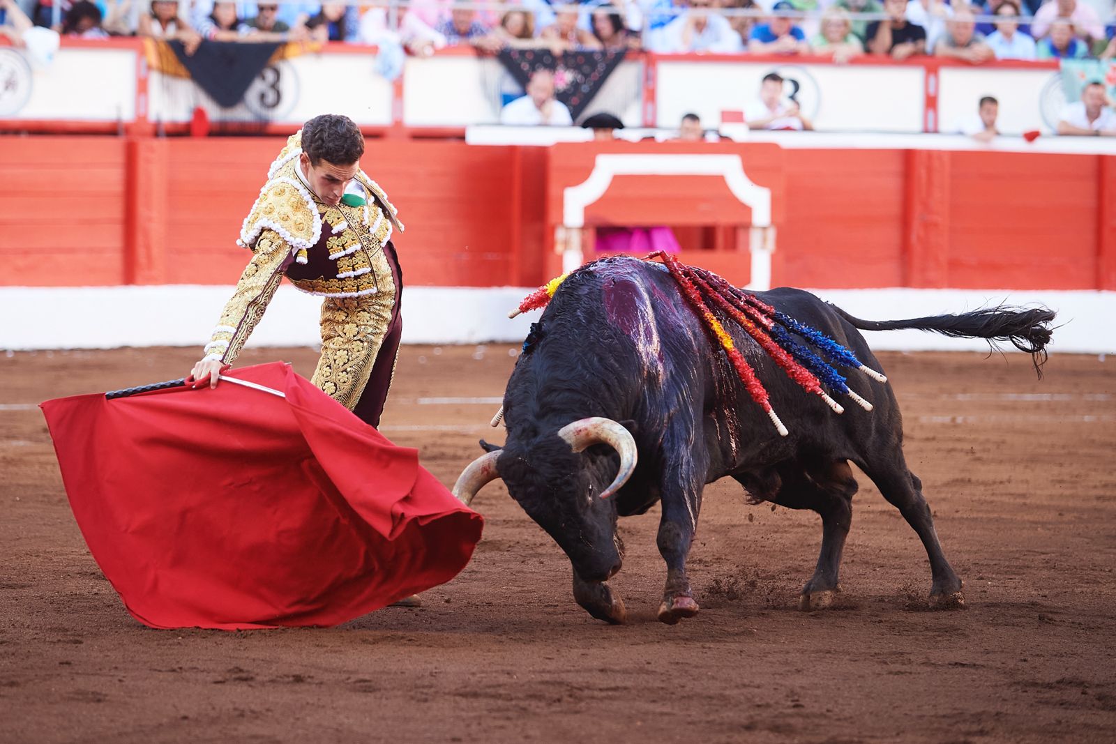 <p>Foto: © César Ortiz</p>