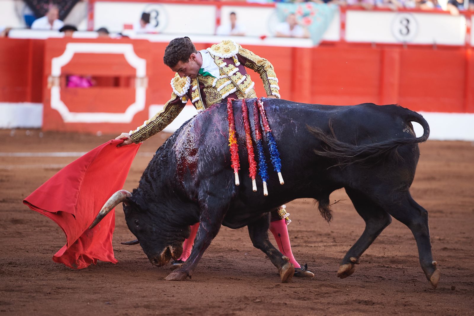 <p>Foto: © César Ortiz</p>