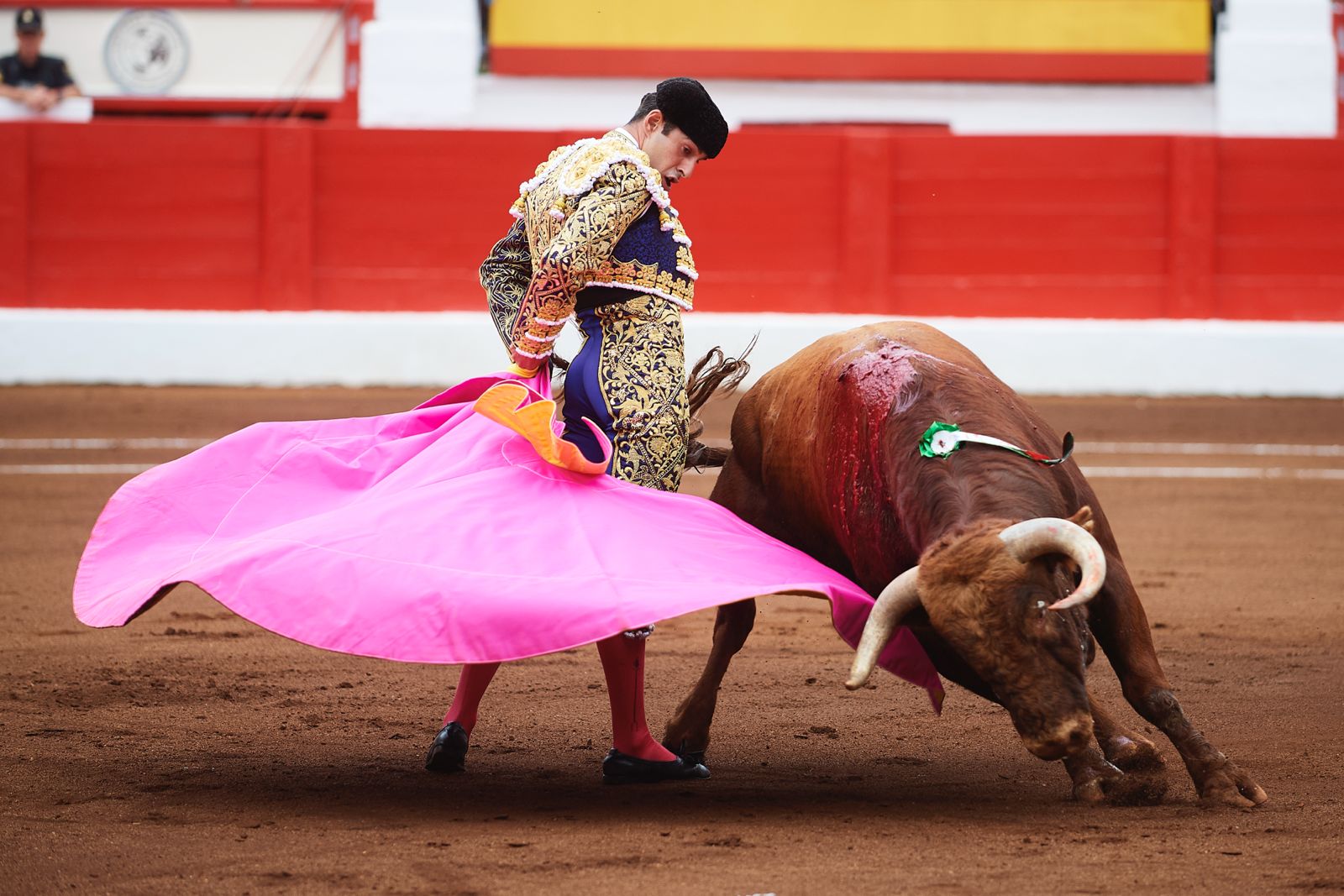 <p>Foto: © César Ortiz</p>