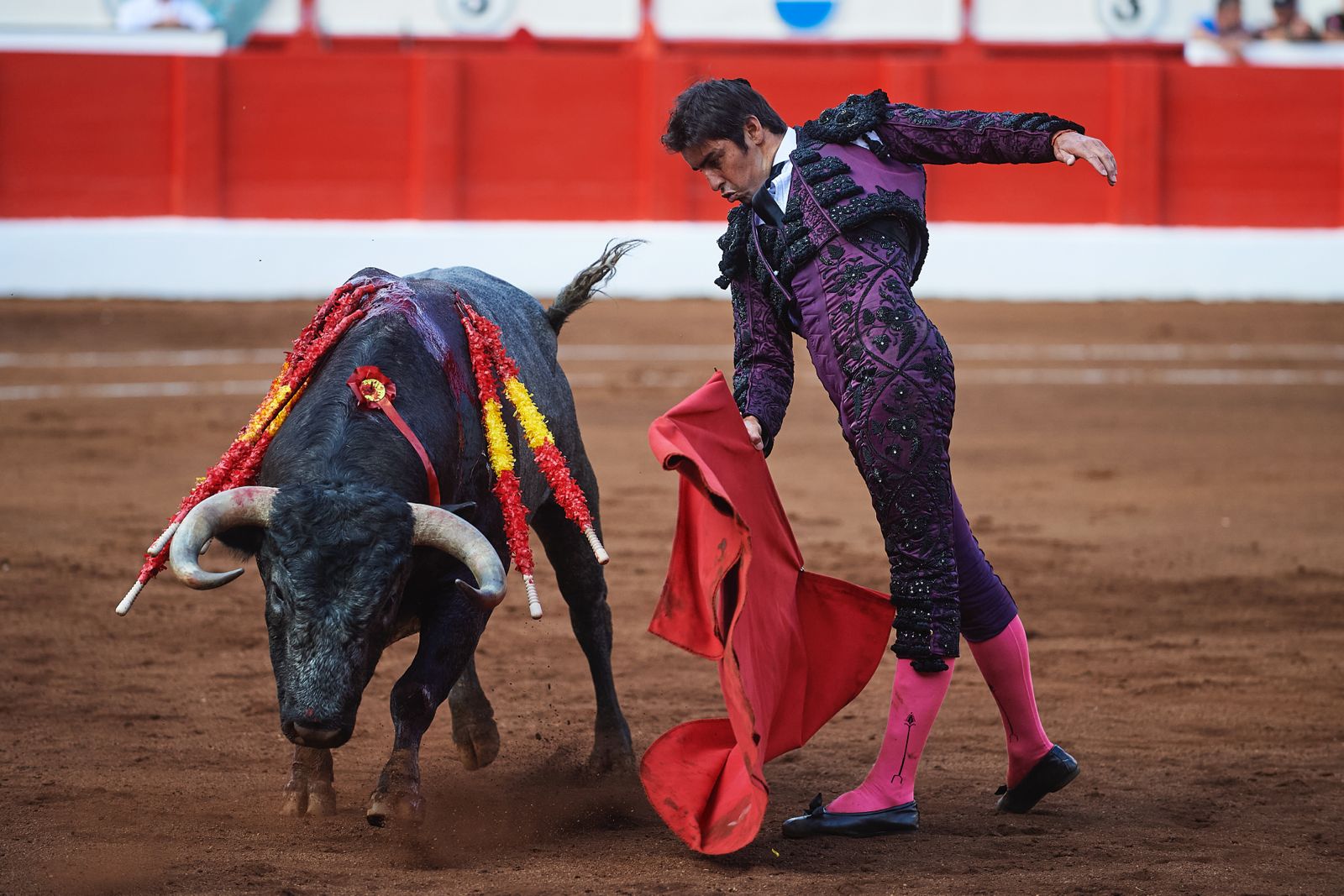 <p>Foto: © César Ortiz</p>