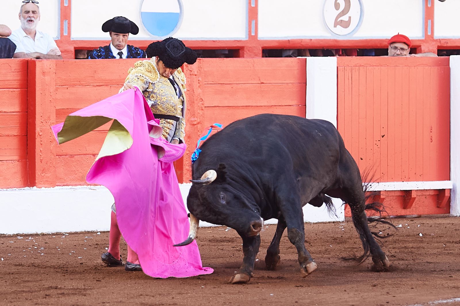 <p>Foto: © César Ortiz</p>