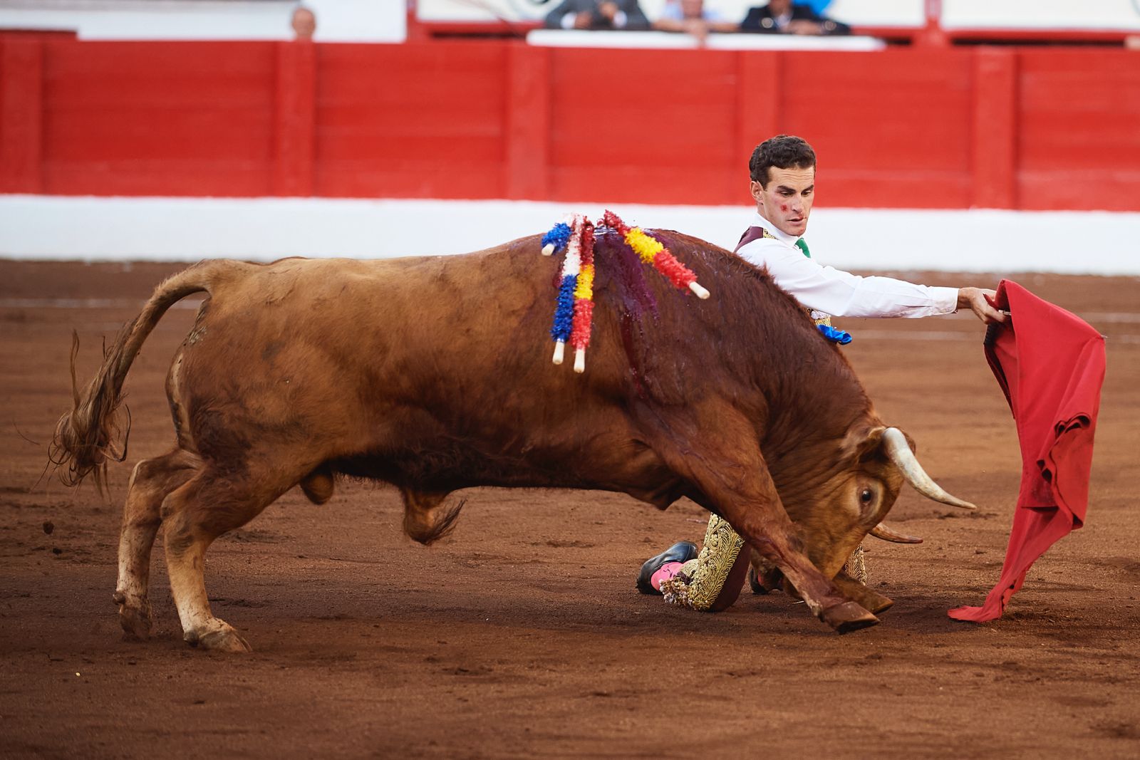 <p>Foto: © César Ortiz</p>